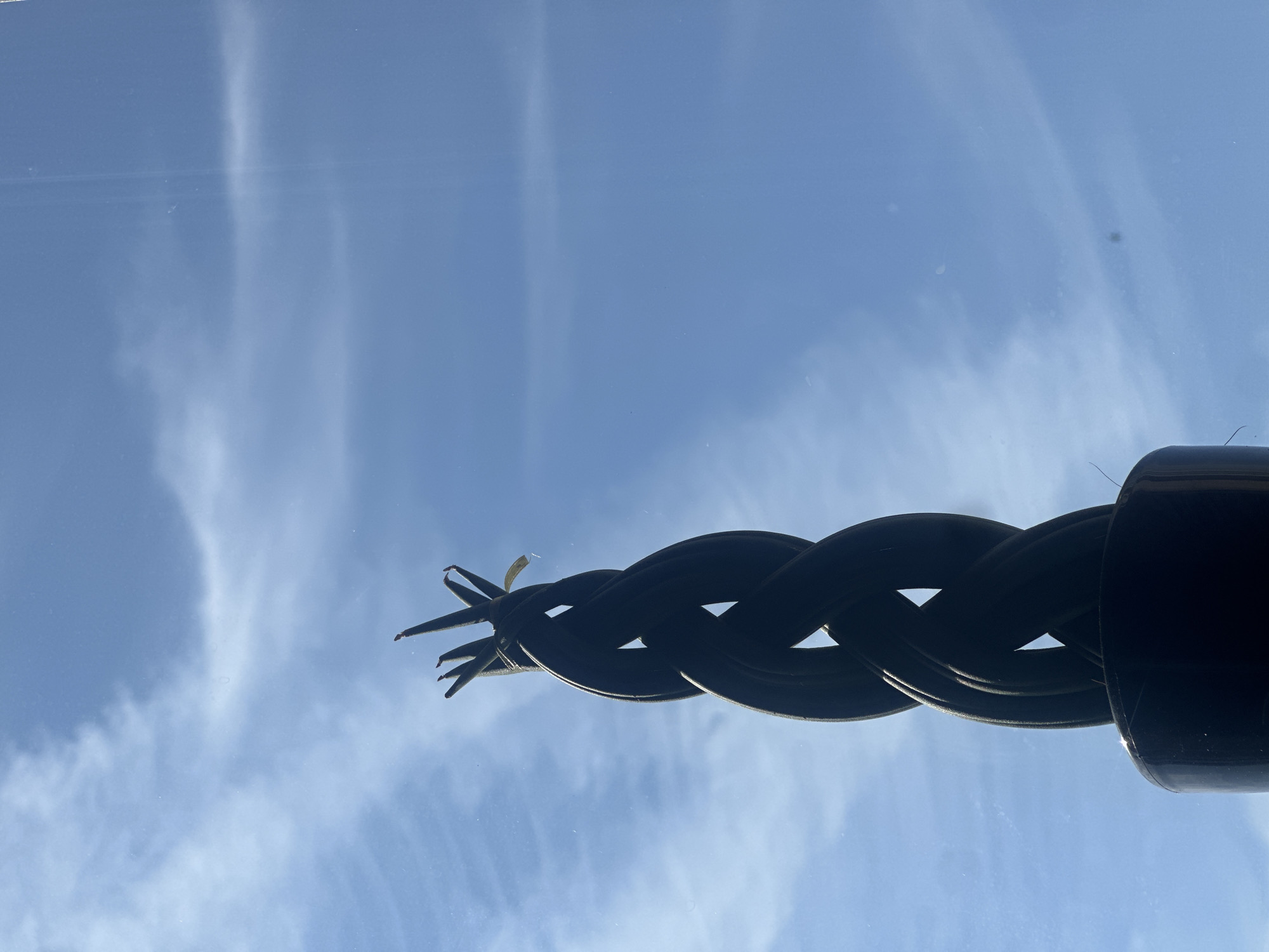 A dark, braided plant is silhouetted against a bright blue sky with wispy white clouds. The plant appears to be in a dark pot and is viewed from below, looking upwards. Its leaves at the top are thin and spiky. The image is taken outdoors on a clear day. The location is Uzhhorod, Ukraine.