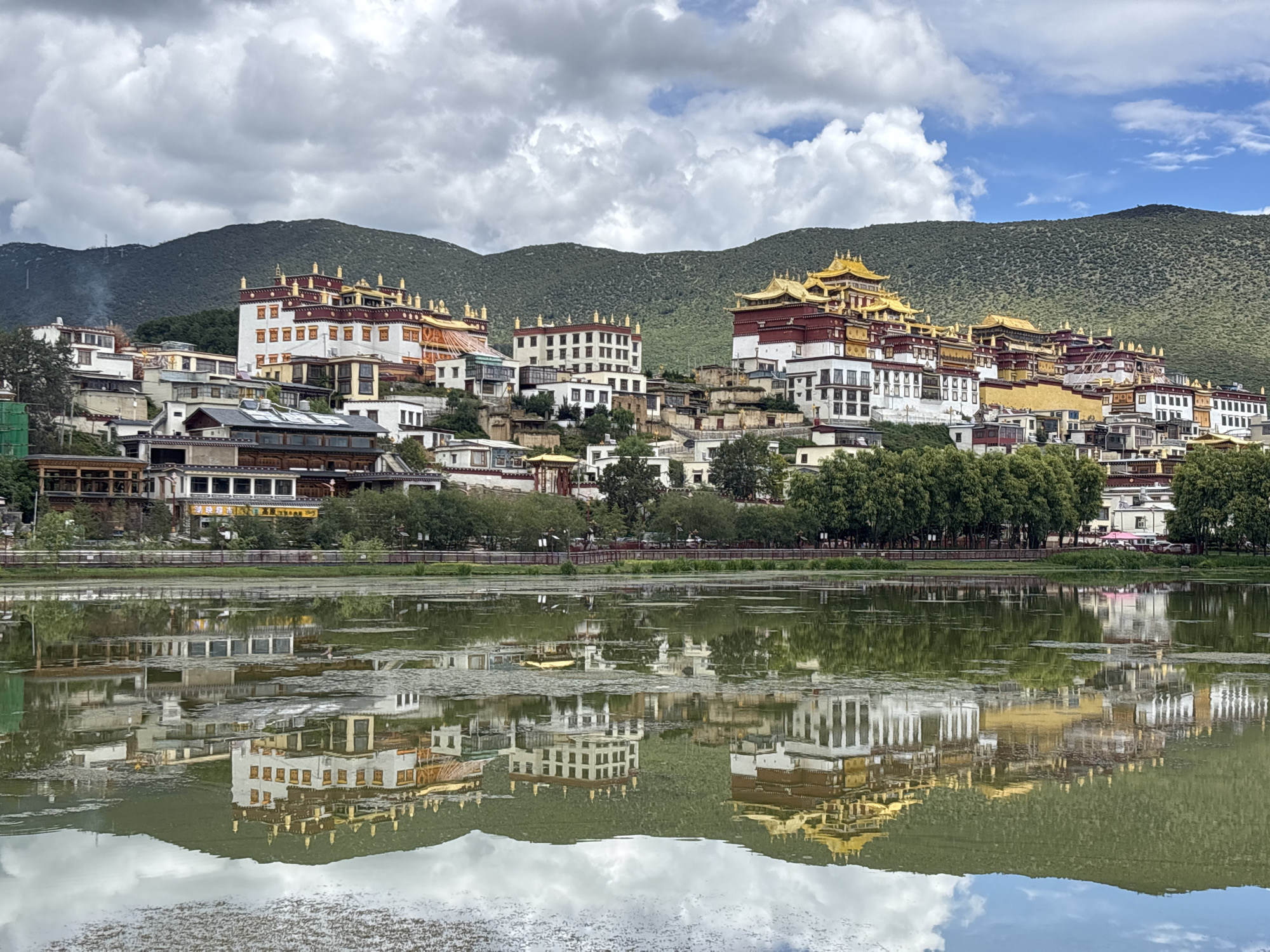 The image depicts a scenic view of Songzanlin Monastery, located in Shangri-La, China. The monastery, a prominent landmark, is situated on a hillside and characterized by its white walls with red trim and golden roofs. It is a sprawling complex of multiple buildings, suggesting it is a place of worship and residence for monks.
In the foreground, a tranquil body of water reflects the monastery and the surrounding landscape. The water's surface is partially covered with aquatic vegetation, and the reflections are clear, indicating calm conditions. Behind the monastery, a lush green mountain forms the backdrop, with a cloudy sky overhead. The clouds are varied, with some appearing heavy and dark, while others are lighter and wispy, hinting at the possibility of changing weather.
The overall scene captures the grandeur of the monastery and its harmonious integration with the natural environment. There are no visible people or animals in the image. The reflection in the water creates a symmetrical effect, enhancing the visual appeal of the composition. The architectural style of the monastery suggests a Tibetan Buddhist influence, consistent with its location in Shangri-La.