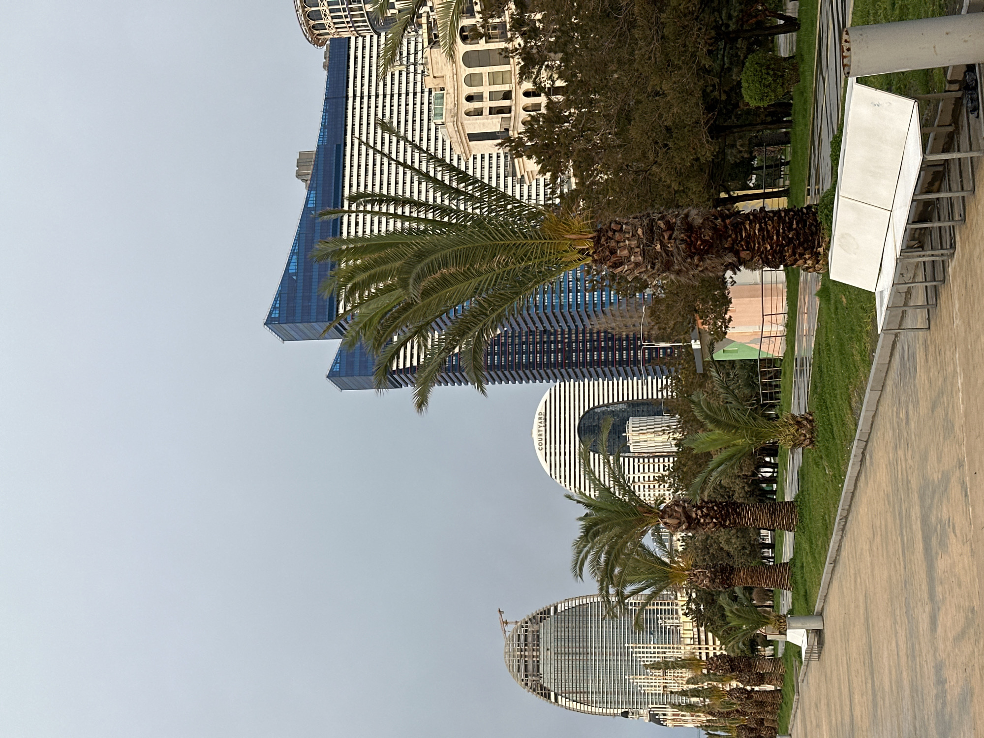 The image displays a modern urban landscape featuring a combination of architectural styles and natural elements, captured under a soft, possibly overcast sky. The photograph is oriented vertically, showing the scene as if viewed from a sidewalk or park area looking towards a city skyline.
In the foreground, a light-colored paved pathway, likely concrete or stone, occupies the right side of the frame, showing faint linear shadows, suggesting the sun is low or diffused. Adjacent to the pathway, a strip of neatly maintained green grass is visible on the left, interspersed with square pavers. A modern, elongated white bench or art installation with a rectangular top and metal support structure is positioned on the edge of the grass strip.
Stretching across the midground, a row of robust palm trees with thick, textured brown trunks and vibrant green fronds adds a tropical touch to the setting. Their fronds partially obscure the buildings behind them. Behind the palm trees, various other trees and shrubs with denser foliage can be seen, forming a green buffer between the foreground and the urban structures.
The background is dominated by several distinct high-rise buildings. On the left, a tall, slender skyscraper with a dark blue glass facade and light-colored vertical elements tapers towards the top, presenting a sleek, contemporary design. To its right, an older-looking building with arched window openings and a more ornate, lighter-toned facade provides a contrast in architectural style. Further to the right and slightly lower, a prominent, curved high-rise building with numerous vertical white stripes and dark windows is visible. The word "COURTYARD" is clearly legible on its upper facade, suggesting it is a hotel or commercial establishment. Another similar-shaped, curved building with vertical elements can be seen to the right of the "COURTYARD" building, possibly part of the same complex or a neighboring structure.
The sky is a uniform light blue or grey, indicating either an overcast day or the soft light of early morning or late afternoon. No specific human activity or figures are visible, making it a serene landscape view. The presence of palm trees and modern high-rises suggests a city in a warmer climate, potentially a resort or coastal area.