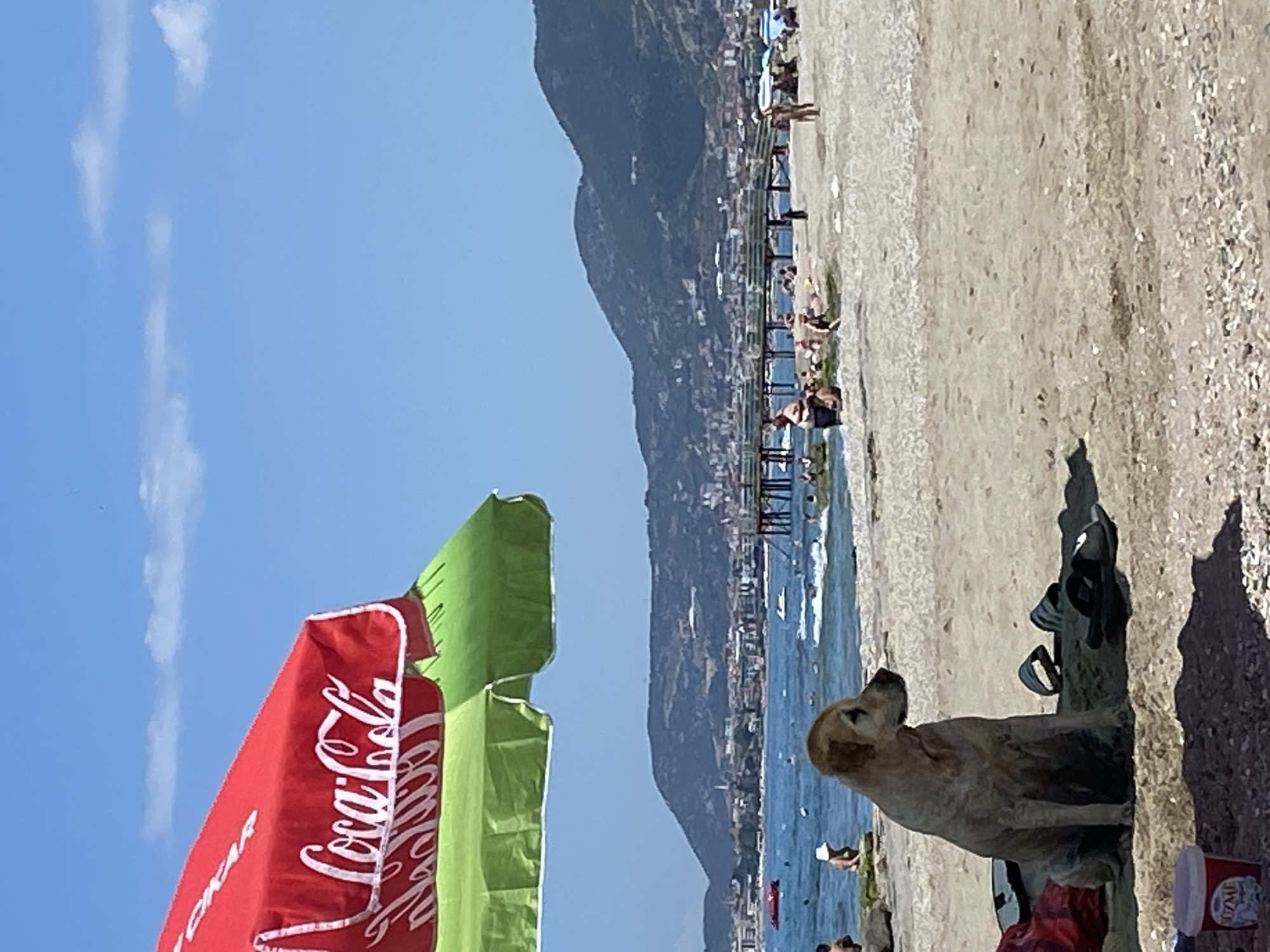 The image shows a beach scene in Alanya, Turkey, with a dog in the foreground on the sand, next to a pair of sandals, a red bag, and a red container. In the background are a Coca-Cola umbrella, the sea, a pier with people, and a mountain range. The sky is blue with some clouds.