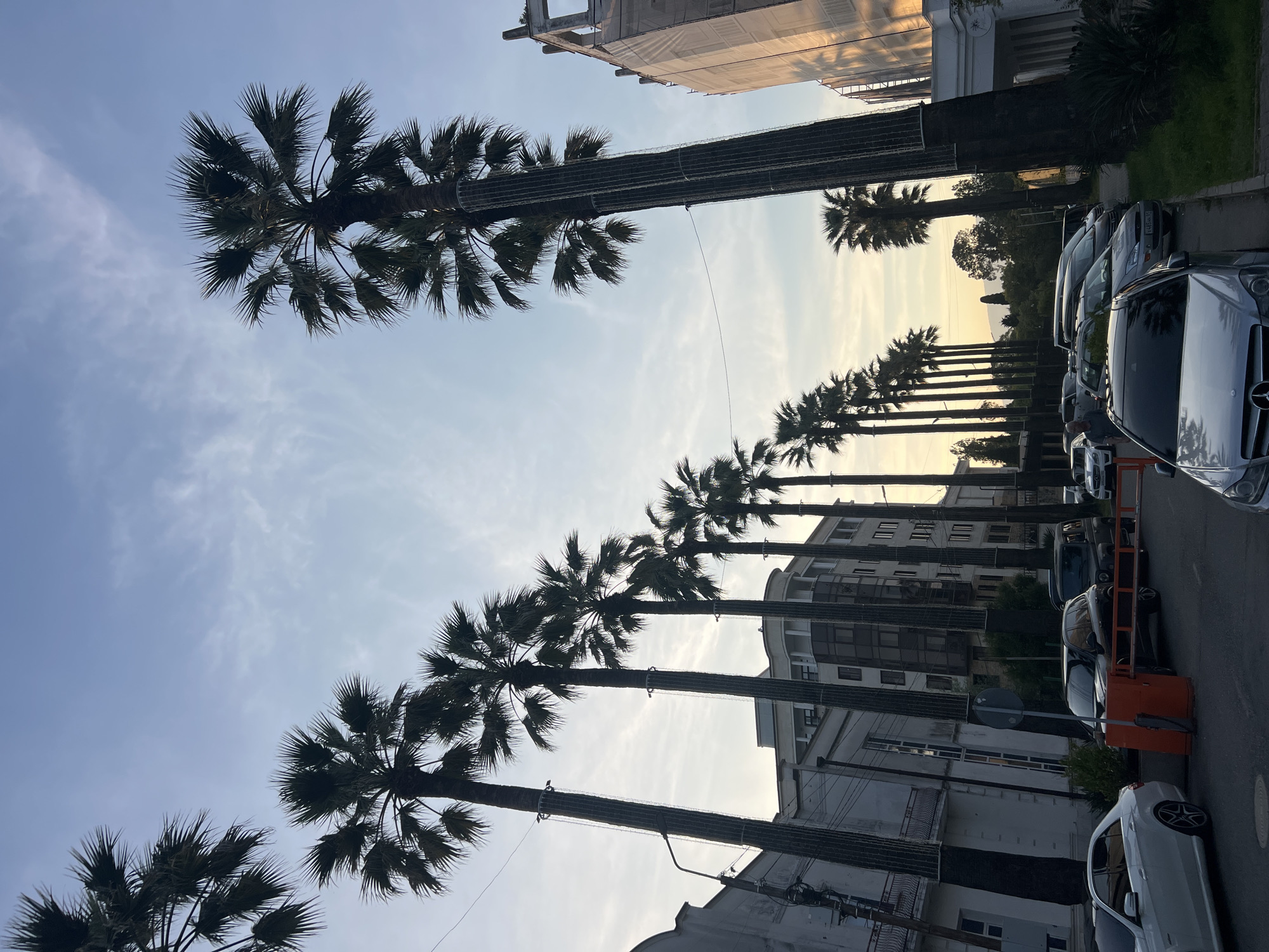 A street lined with palm trees in Unknown, Unknown, is captured in a low-angle shot. The sky above is a pale blue with wispy clouds, suggesting either early morning or late afternoon. The sun's light, casting a warm glow, is visible on the right side of the image, illuminating a building under construction, covered in scaffolding and sheeting.
On the street, several cars are parked and in motion. A white Mercedes-Benz is parked on the left, and a black SUV is positioned behind it. Further down the street, a row of parked cars is visible, including a silver hatchback and a dark-colored minivan. A red barrier gate is lowered across the street, indicating a checkpoint or restricted area.
The palm trees, tall and slender, form a symmetrical avenue, with their fronds silhouetted against the sky. Some of the trees have protective netting or bindings around their trunks. The buildings along the street vary in architectural style, from older, ornate structures to more modern, multi-story buildings. The overall atmosphere is serene, with a hint of urban development and a touch of natural beauty from the palm trees.