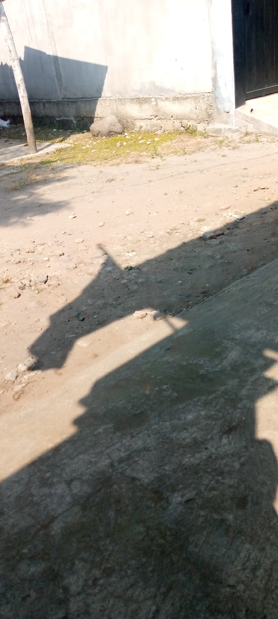 The image shows a sunlit dirt road with sparse vegetation and a concrete wall in the background. A prominent shadow, cast by an unseen object, stretches across the road and a concrete ledge in the foreground. The shadow has a distinct triangular shape, suggesting it might be from a structure or a tall, thin object. The road surface is uneven and appears to be composed of dirt, gravel, and small stones. The concrete wall shows signs of weathering and has a rough texture. The lighting indicates it is daytime, likely mid-morning or afternoon given the length and angle of the shadow. The scene appears to be an outdoor area, possibly a pathway or the side of a building, in a semi-urban or rural setting. The location in Sumberwono, Indonesia, is consistent with this type of environment.