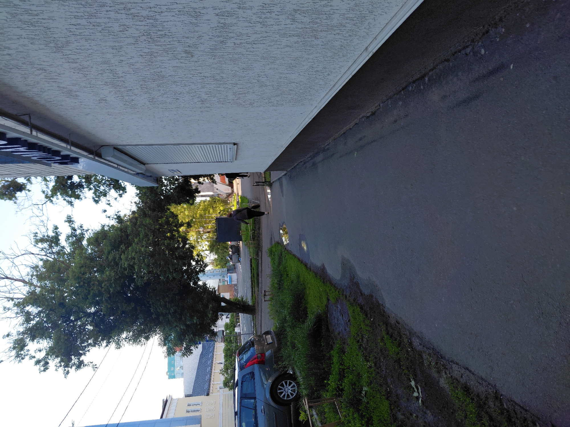 This image captures an urban or suburban street scene, viewed from a low perspective looking forward along a building. On the left and extending across the top is the textured, light-colored facade of a building, possibly stucco. Beneath an overhang of this building, a structure for a sign is visible, displaying partial blue letters that appear to read "LO" or "L O".
To the right of the building is a paved surface, likely a road or a wide sidewalk, which is noticeably wet with several puddles reflecting the light from above. Along the immediate right edge of this paved area, there is a strip of damp, muddy ground covered with green grass and some sparse, leafy bushes.
Further down the paved surface, a person in dark clothing is seen walking away from the viewer. Below the large tree on the left, two cars are parked on the grassy verge adjacent to the paved area. A prominent, large green tree dominates the left side of the frame, and power lines are visible stretched across the sky in the distance. The lighting suggests it is daytime, possibly late afternoon, and the numerous puddles indicate recent rainfall or generally wet conditions.