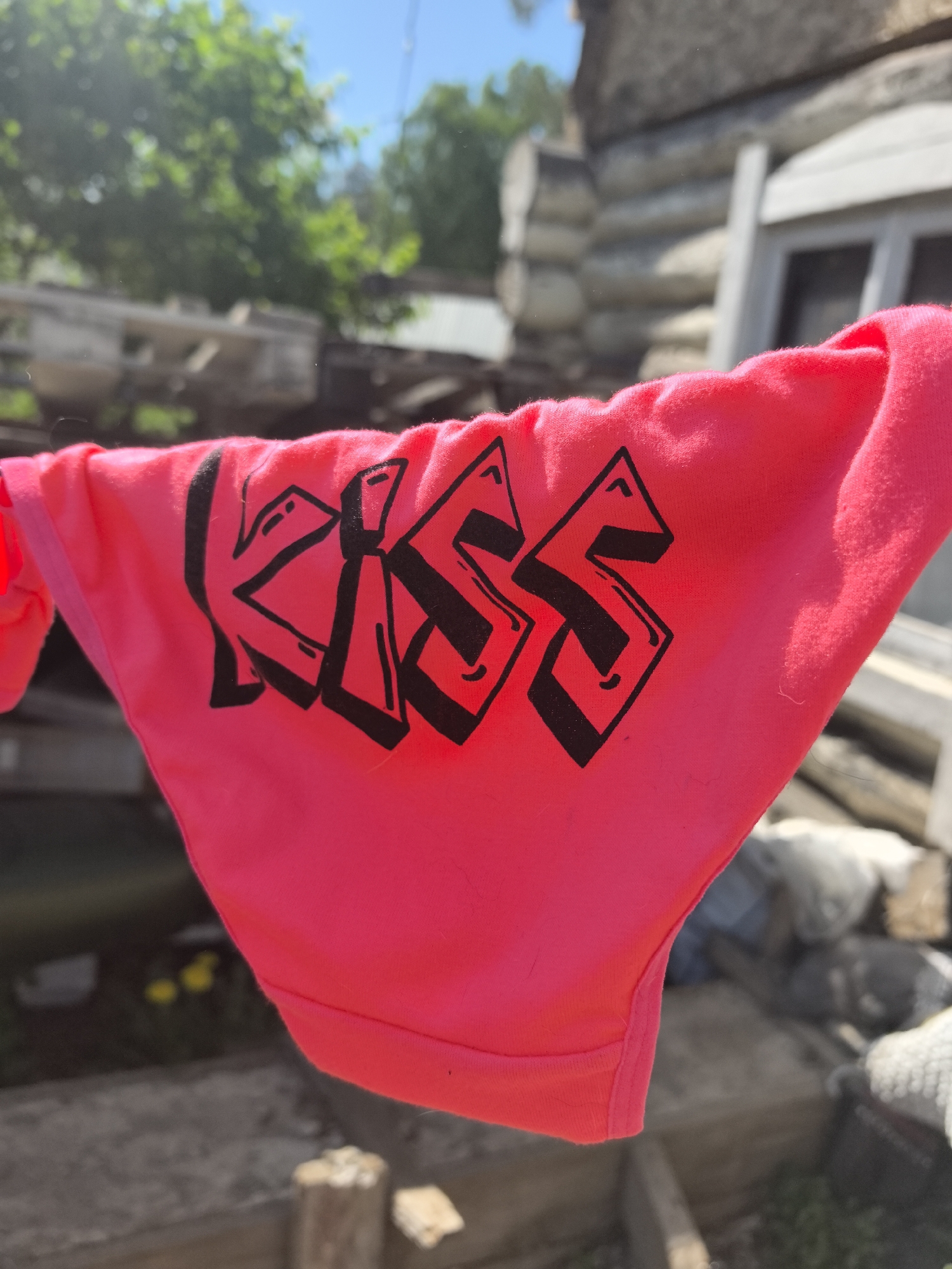 A close-up shot focuses on a vibrant pink pair of underwear with the word "KISS" printed in black, stylized letters. The underwear hangs on a clothesline, suggesting they are drying. The location appears to be outdoors, with a weathered log cabin visible in the background. The environment suggests a rural or semi-rural setting. The scene is brightly lit, indicating a sunny day. The photograph was taken at an angle to emphasize the hanging garment. There is no indication of people, subjects, actions, or interactions in the image. The name of the city "Noviy, Russia" cannot be determined from this image.