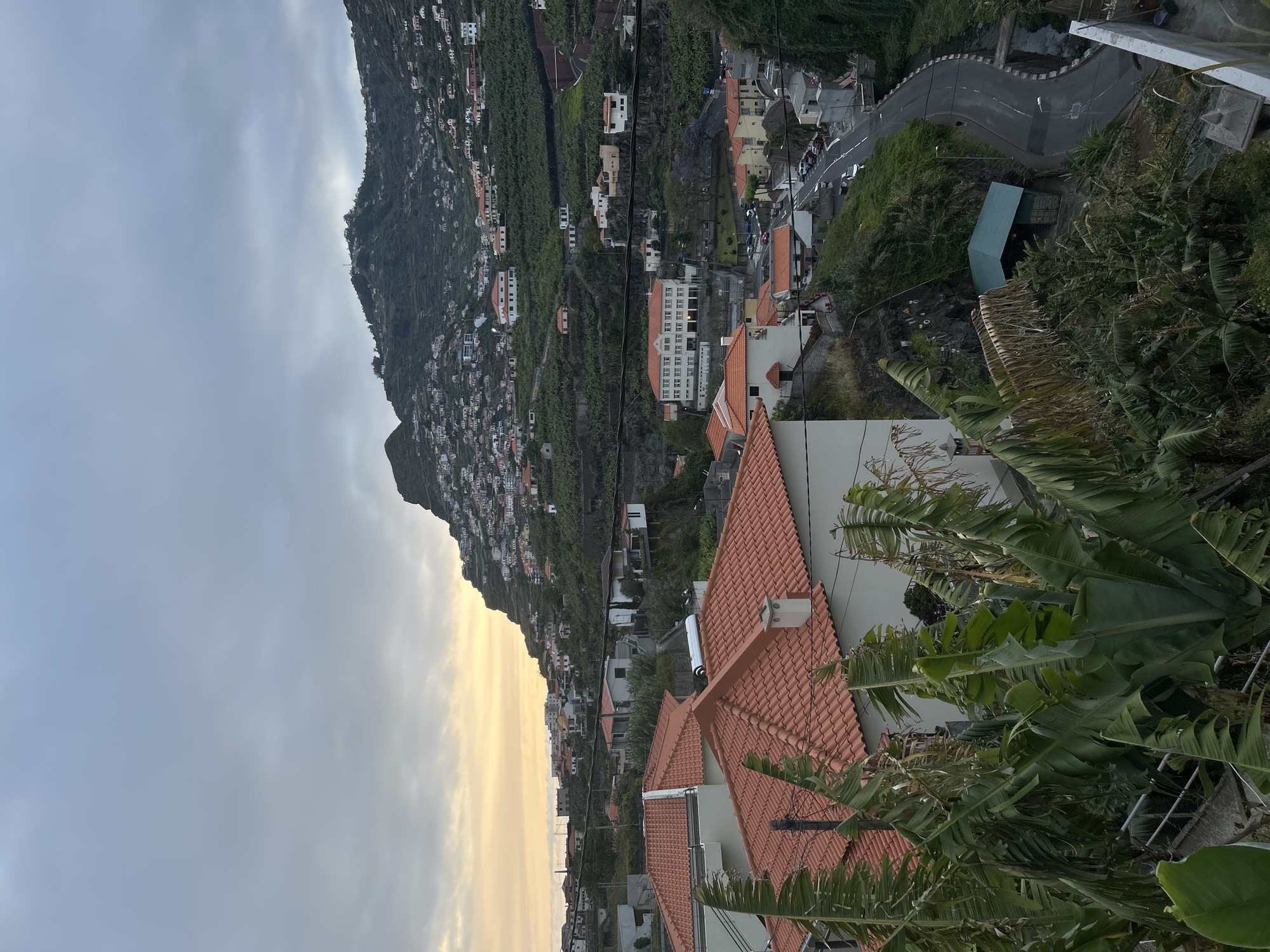 The image shows a hillside view in Câmara de Lobos, Portugal, populated with residences and vegetation. The sky is overcast. Buildings with red-tiled roofs are visible in the foreground. A road with some cars is also seen. The hillside in the background is densely covered with houses and foliage. Banana trees are prominent in the surrounding vegetation.