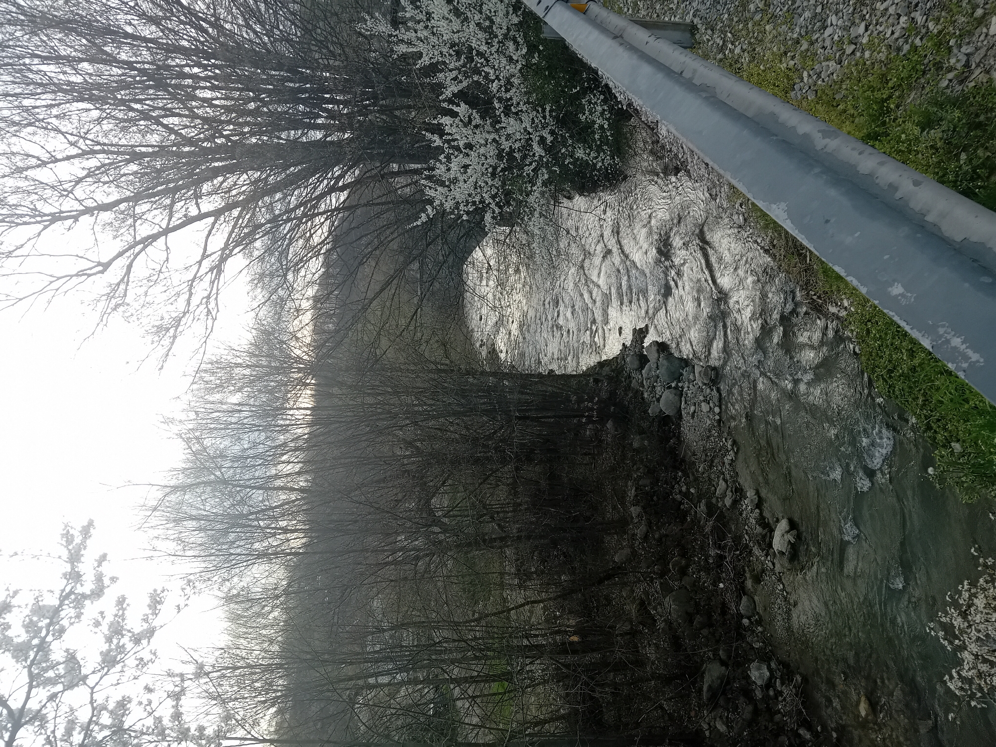 The image shows a waterway flowing through a riparian area. Along the right edge of the frame, a metal guardrail is visible, alongside green grass and gravel. The waterway appears shallow, with some rocks visible along its edge. Bare trees line the banks of the waterway. Some trees have begun to blossom, featuring small white flowers. The sky is visible at the top of the image, with overcast conditions. The location is in the city of Unknown, Unknown.