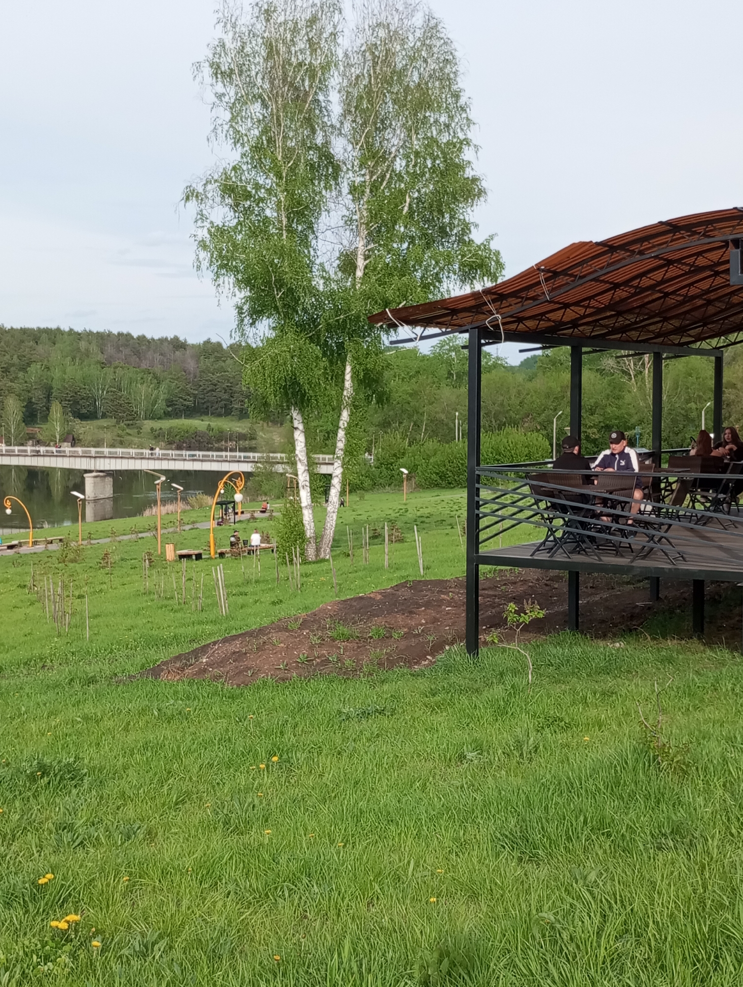 The image depicts an outdoor scene in what appears to be a park or recreational area. The location is in the city of Kamensk-Uralsky, Russia. In the foreground, there is grassy terrain with dandelions scattered throughout. A newly tilled patch of dirt is visible in the middle ground. To the right of the image is a raised, covered platform with metal support beams and a corrugated metal roof. On the platform, a small group of people are seated at tables. Further back, a bridge stretches across a body of water, with trees lining the distant shore. Several birch trees stand prominently in the middle of the frame. Yellow street lamps are placed along the grassy bank near the water, suggesting this is a public park space.