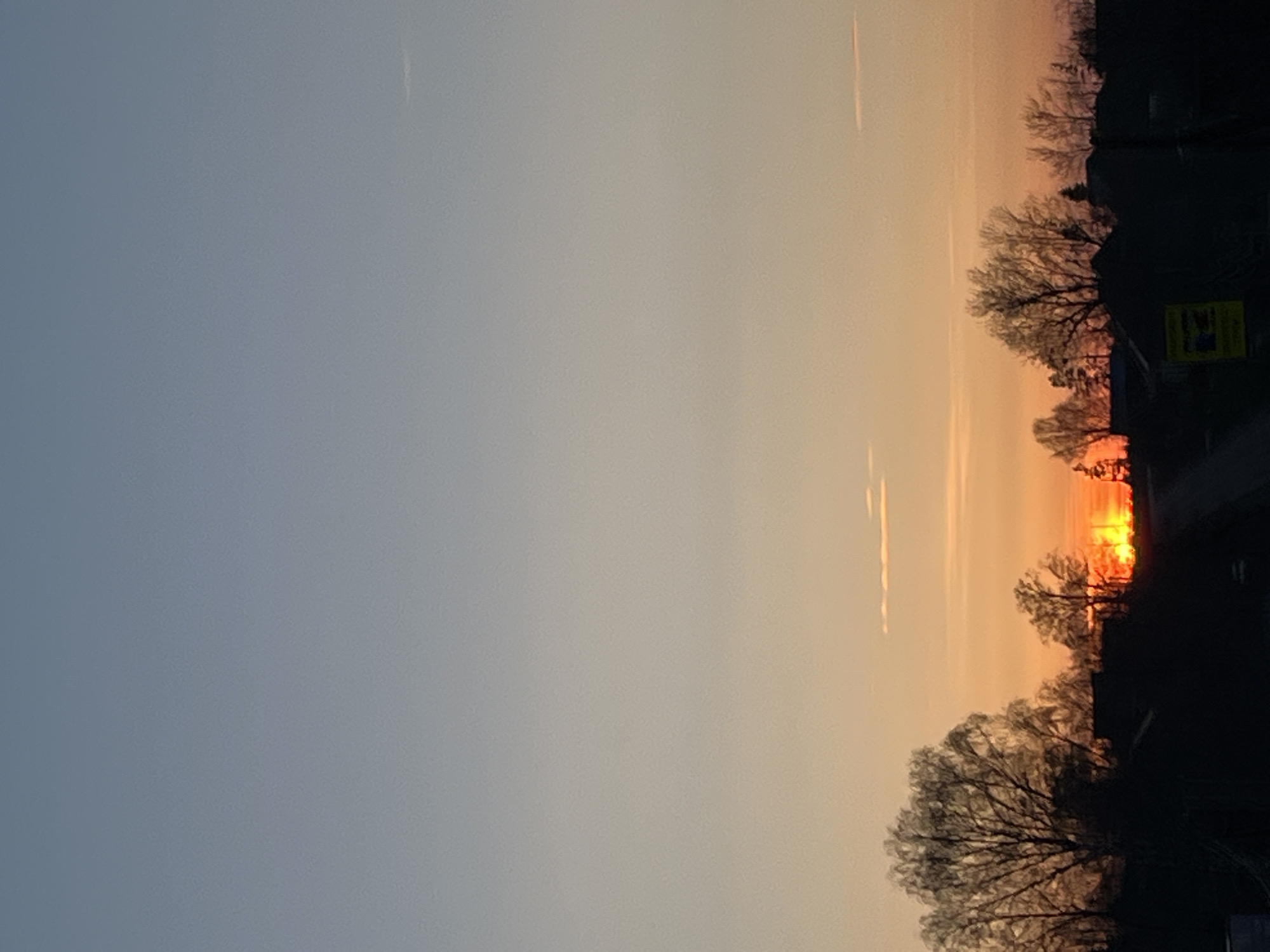 The image displays a serene sunset or sunrise scene over a landscape, with the horizon line visible towards the bottom and right side of the frame. The sky dominates the composition, transitioning from a soft grey-blue on the left to vibrant shades of orange, yellow, and red on the right, where the sun is partially visible. Several faint, white contrails from aircraft are subtly streaking across the sky.
In the bottom right portion of the image, the silhouettes of numerous bare trees and what appear to be buildings or structures are sharply defined against the brightly lit horizon. The sun, a brilliant orb of intense orange and yellow light, is seen just above the horizon, casting a powerful glow that illuminates the sky and creates a dramatic contrast with the darkened foreground elements. The intricate branches of the trees are clearly visible as dark patterns against the bright background. A small, indistinct yellow sign with unreadable text or graphics is barely discernible on one of the silhouetted structures.
The scene captures the tranquil beauty of either dawn or dusk, with clear weather conditions allowing for a vivid display of natural light and color. The setting suggests a rural or suburban environment.