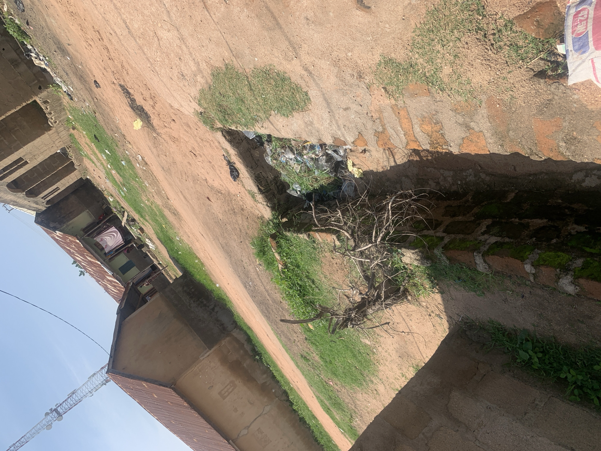 The image captures a street scene in Jauro Yinu, Nigeria, characterized by unpaved roads, modest residential buildings, and a prominent drainage ditch filled with debris. In the background, a large telecommunications tower stands against a clear blue sky. The buildings appear to be constructed with materials like corrugated metal roofing and concrete or brick walls, some showing signs of wear. The ground is a mixture of reddish-brown soil and sparse, dry grass, with scattered pieces of litter visible. A significant feature of the image is the open drainage channel running alongside the path, clogged with plastic waste, vegetation, and other refuse. Dried branches and twigs are also present in and around the ditch. The lighting suggests it is daytime, with the sun casting shadows. There are no individuals clearly visible in the frame.