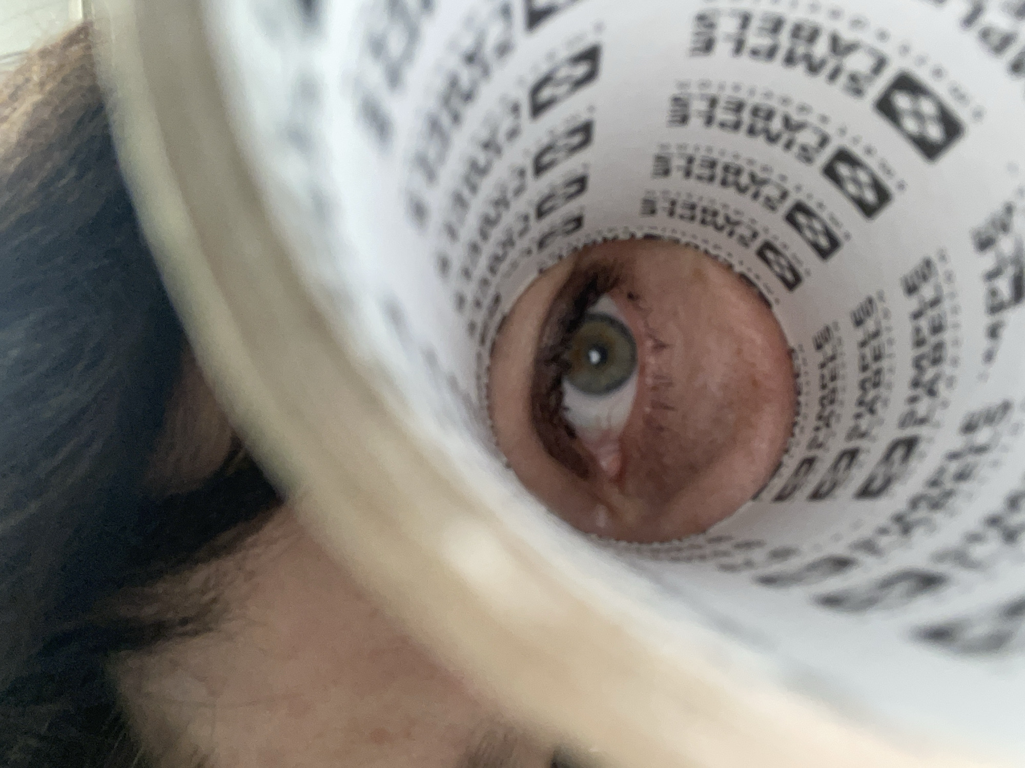 The image shows a close-up view of a person's eye looking through a tube, which appears to be made of paper with repeating text and symbols. The person's face is partially visible to the left of the eye, with dark hair. The eye itself is green with dark eyelashes and appears to be looking directly forward. The paper tube is white with black lettering and logos, suggesting it may be a roll of labels. The image is an indoor shot, with soft lighting. There is no indication of the city of Терволово, Russia in the image.