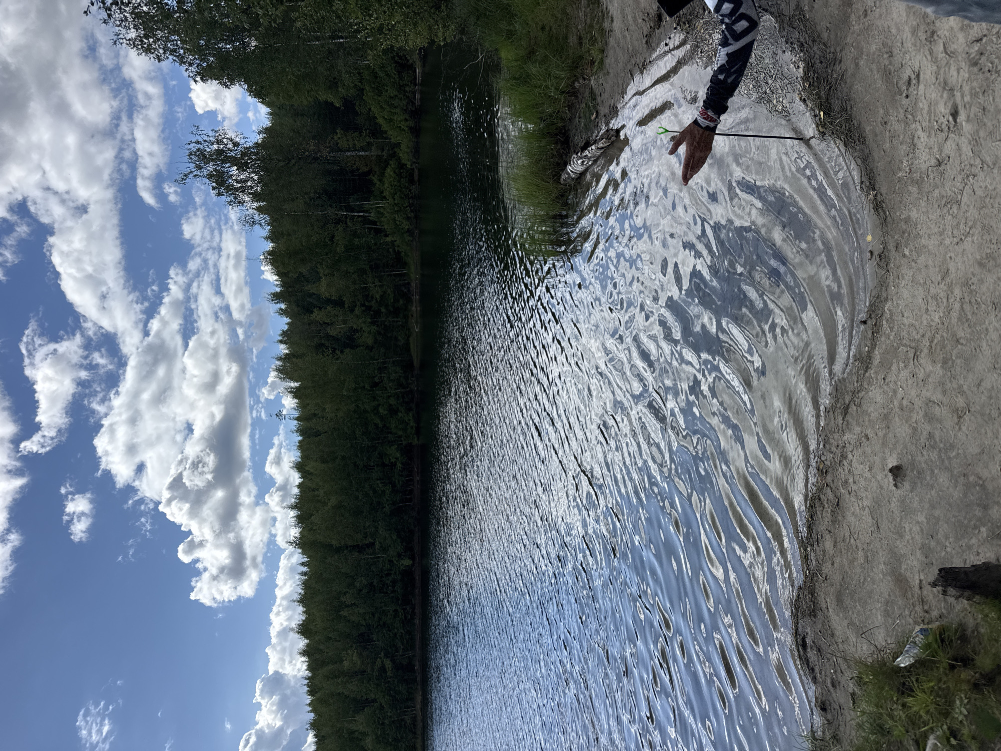 This is a photograph taken at the shoreline of a lake in Kharvia, Russia. The sky is blue with scattered white clouds. A dense line of dark green trees forms the treeline along the far bank of the lake. The water is dark and rippled, reflecting the sky and trees. The foreground consists of a sandy shore with patches of grass and some dried vegetation. In the lower right corner, a person's arm and hand are visible, holding a green fishing rod tip that extends into the water. The person is wearing a dark long-sleeved shirt with a white patterned design on the sleeves. The overall scene depicts a peaceful outdoor setting, likely a natural lake within a forested area.