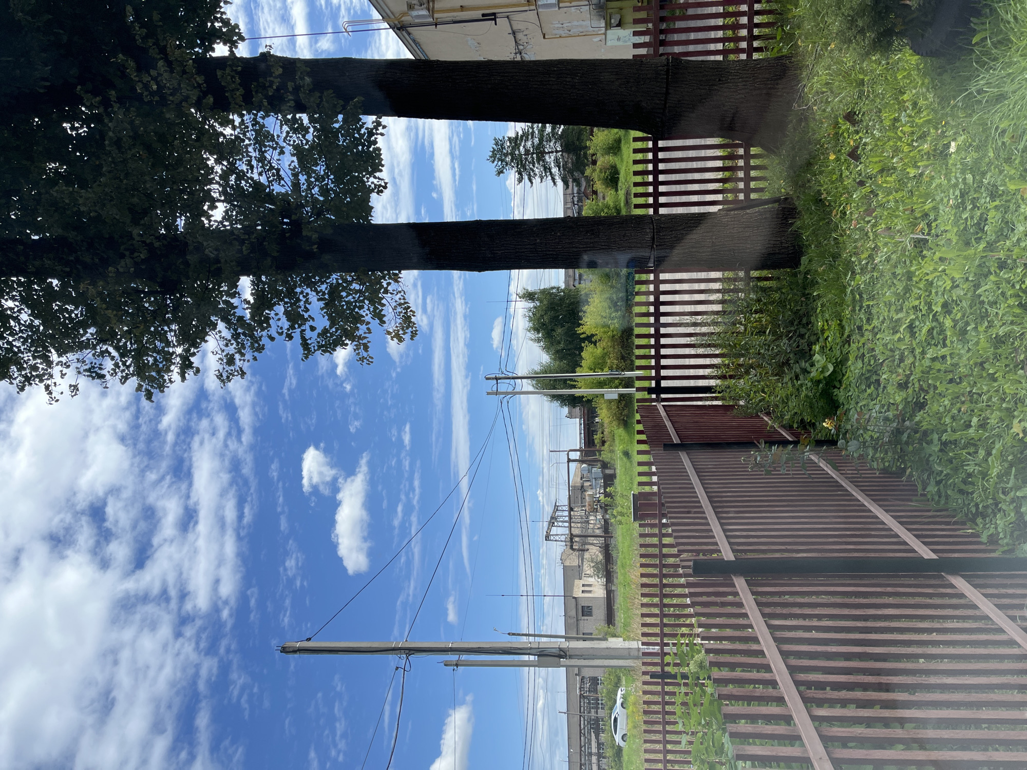 The image depicts an outdoor scene with a clear blue sky dotted with white clouds. In the foreground, a brown wooden fence runs horizontally across the frame, with lush green grass and foliage growing behind and in front of it. Two tall trees with dark bark and dense foliage stand prominently to the right of the image, partially obscuring the background.
Beyond the fence and trees, the middle ground shows a green grassy field leading to what appears to be an industrial or commercial area. A white car is visible parked in this area to the left. Several buildings, including a long, low-rise structure with industrial equipment such as pipes and scaffolding, are present. Electrical poles and wires are also visible, crossing the sky and connecting to various structures. A single, sparsely needled evergreen tree stands in the distance, to the right of the industrial buildings. The overall environment suggests a mixed residential and industrial setting.