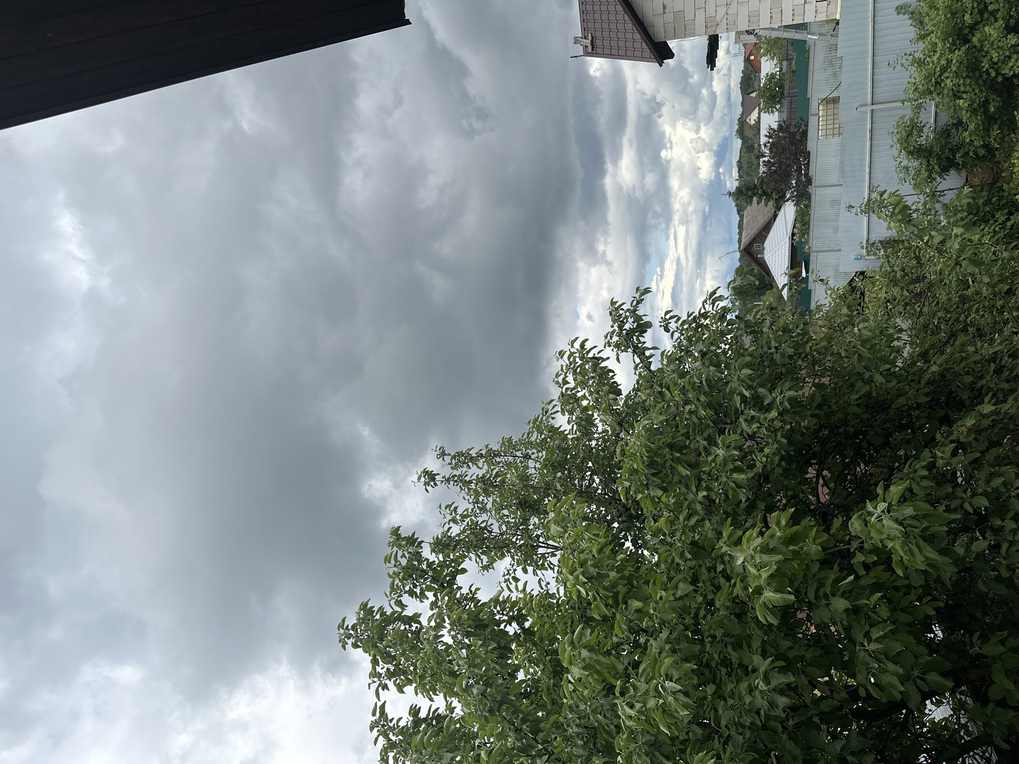This vertical image captures an outdoor scene under an overcast sky in Chaikovsky, Russia. The sky dominates the upper half of the frame, filled with heavy, dark grey clouds, suggesting pre-stormy or post-rain conditions. Towards the right side of the sky, there are patches of brighter, lighter clouds, indicating some breaks in the heavy cloud cover.
In the foreground and midground, a large, dense tree with abundant green foliage occupies the lower right and central-right portion of the image. Its leaves are clearly visible, appearing vibrant green. In the upper left corner, a dark, angled structure, possibly part of a roof overhang or a balcony, partially frames the scene.
Beyond the trees, in the mid-distance, various buildings and structures are visible. On the far right, the corner of a building with a brown tiled roof and light-colored, possibly concrete block, walls can be seen. Below this, a long, grey corrugated metal building, possibly a workshop or shed, stands out with a small rectangular window. Other residential houses with various roof types are scattered further back amidst more greenery and distant rolling hills. Elements like white picket fences and other fences are also discernible, segmenting the properties.
The overall setting appears to be a semi-rural or suburban residential area, characterized by a mix of natural vegetation and human structures. The time of day is daytime, but the heavy clouds give a dim, subdued light to the scene. There are no people visible, and no discernible text appears in the image.