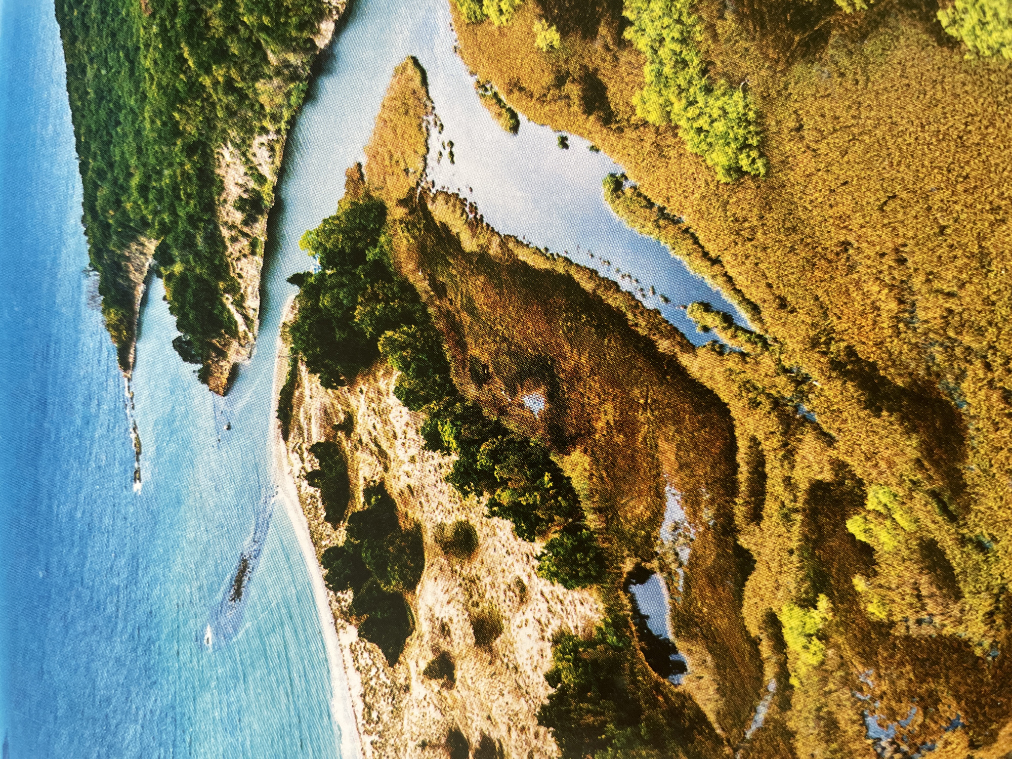 This aerial photograph captures a dynamic natural landscape where land and water merge. The primary scene depicts a coastline with a large body of blue water, likely a sea or a substantial lake, and complex land formations.
The **setting** includes a prominent, densely forested peninsula on the left side of the image (if viewed with the water at the bottom). This landmass is covered in dark green trees and features rocky or cliff-like edges meeting the water. To its right, a intricate network of lighter blue waterways, possibly an estuary or river, meanders through extensive areas of land. These land sections are characterized by vast expanses of golden-brown reeds or marsh grass, interspersed with patches of green trees and sandy shores. A white sandy beach is visible along the edge of the larger body of water.
**Subjects** primarily include the natural elements: water, diverse vegetation (dark green forests, bright green foliage, and golden-brown marsh reeds/grasses), and landforms. Several small, light-colored **objects** resembling boats or kayaks are visible in the blue water near the coast, suggesting recreational activity. No people are explicitly identifiable.
**Notable details** indicate a bright, clear day, likely late morning or afternoon, given the strong illumination and lack of harsh shadows. The vibrant colors across the landscape – deep blues, various greens, and warm golden browns – suggest good weather conditions. The photograph itself appears to be of a printed image, with a subtle textured or pixelated quality visible, especially in the magnified crops. There is no visible text in the image.