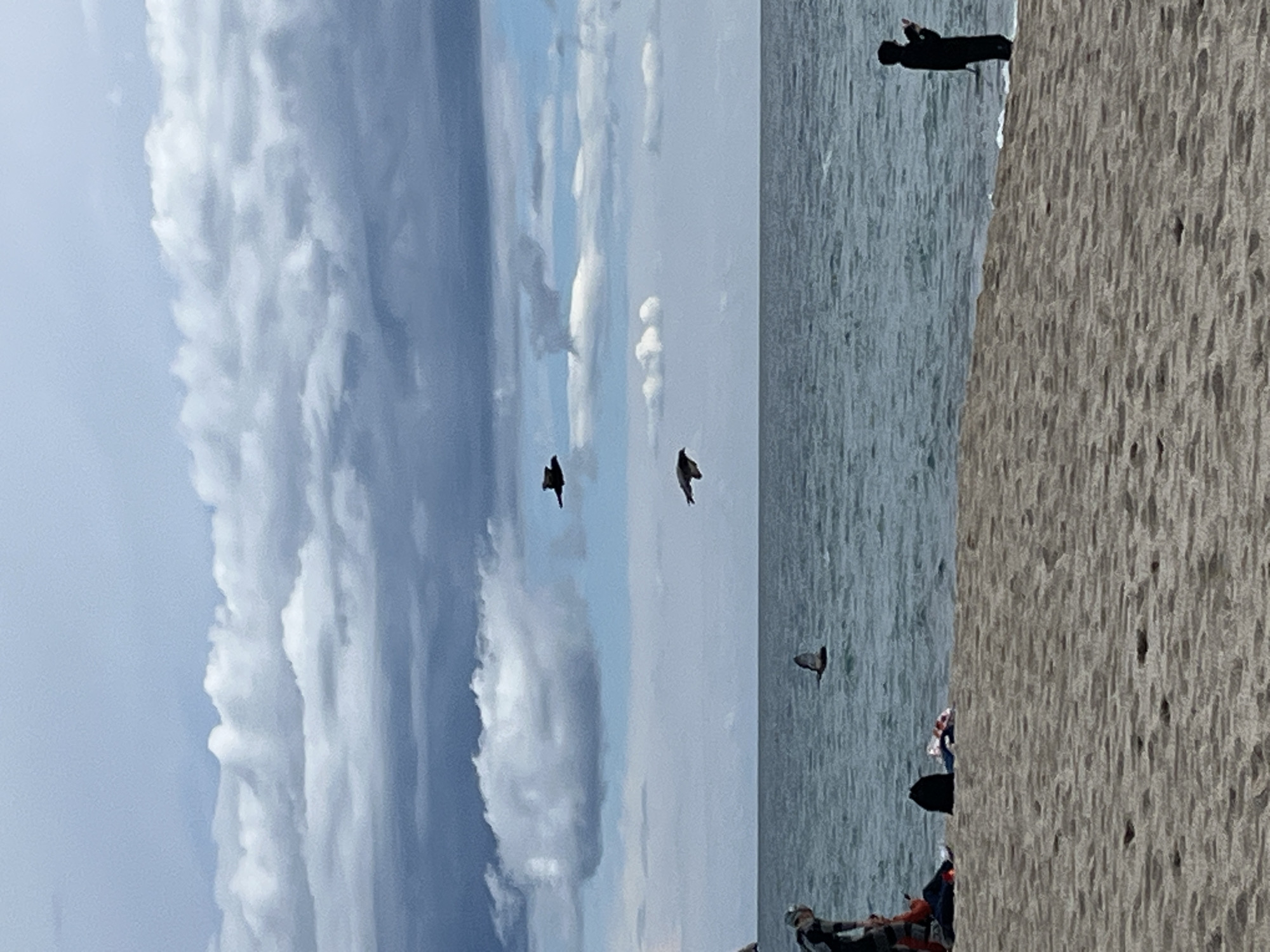 This image depicts a beach scene in Alanya, Turkey. The sky is partially obscured by a mix of white and grey stratocumulus clouds, with areas of visible blue sky. The horizon separates the sky from the choppy, blue-green water of the sea. The immediate foreground consists of a light brown sandy beach.
On the left side of the sandy beach, two individuals are present. One person, wearing a dark long-sleeved top and lighter pants, is in a bent-over or crouching position. Adjacent to them, a second person is seated on the sand, wearing an orange-red top. A black backpack and an item of folded clothing are situated on the sand nearby.
On the right side of the image, a lone individual, dressed entirely in dark clothing, stands at the water's edge, facing towards the right. This person is holding a small, dark object, possibly a mobile phone, in their hands.
Four birds are visible. Three birds are in flight across the upper portion of the frame against the sky; one is positioned high-center, another mid-right, and a third, partially obscured, is also on the right. A fourth bird is flying low over the surface of the sea, roughly centered between the left group of people and the solitary figure on the right. The scene is illuminated by daylight.