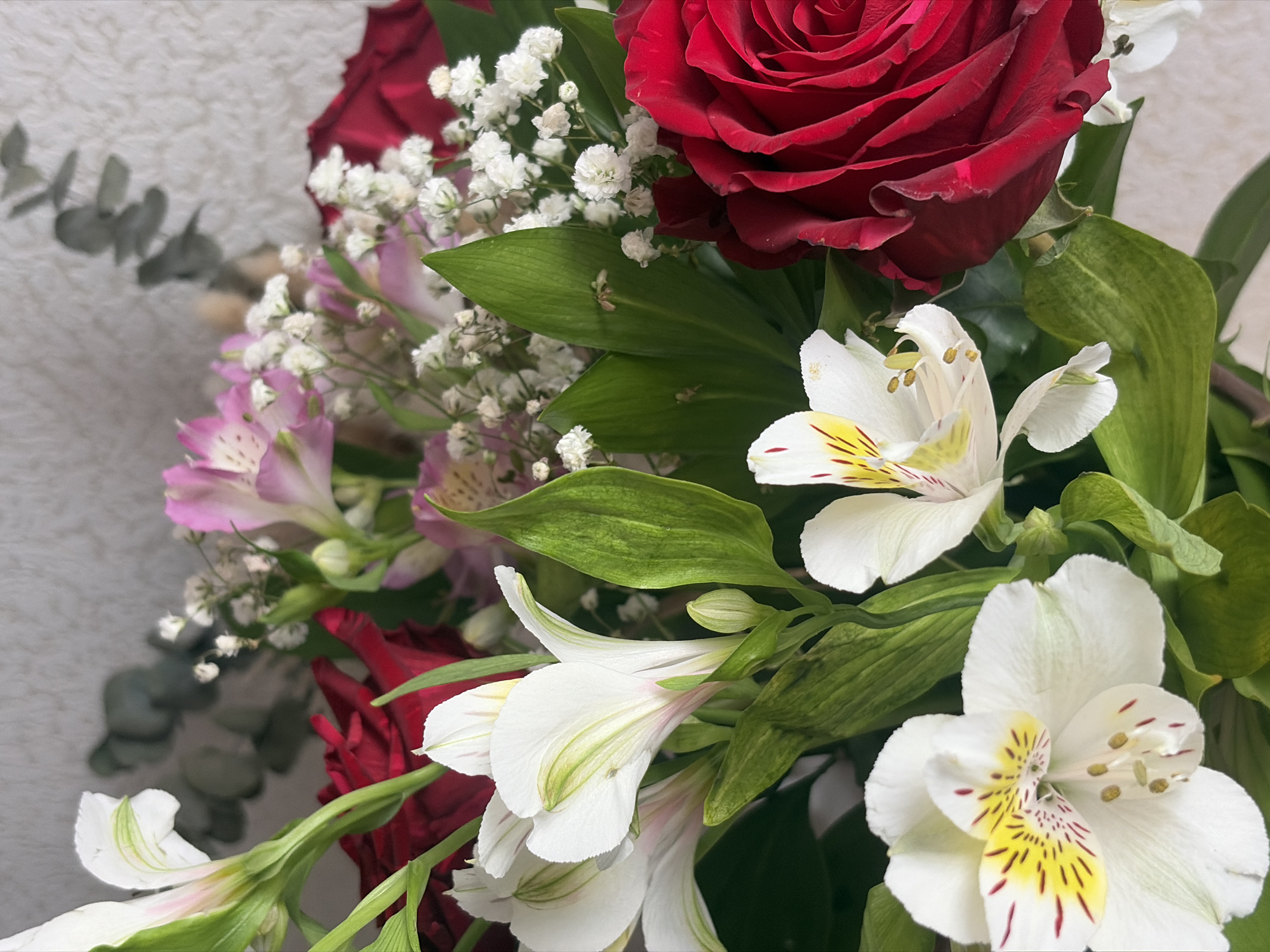 The image shows a bouquet of flowers, with red roses, white and pink Alstroemeria, and white Baby's Breath. The background appears to be a neutral, textured surface. The setting is indoors. The city of Saint Petersburg, Russia is not identifiable within the image.