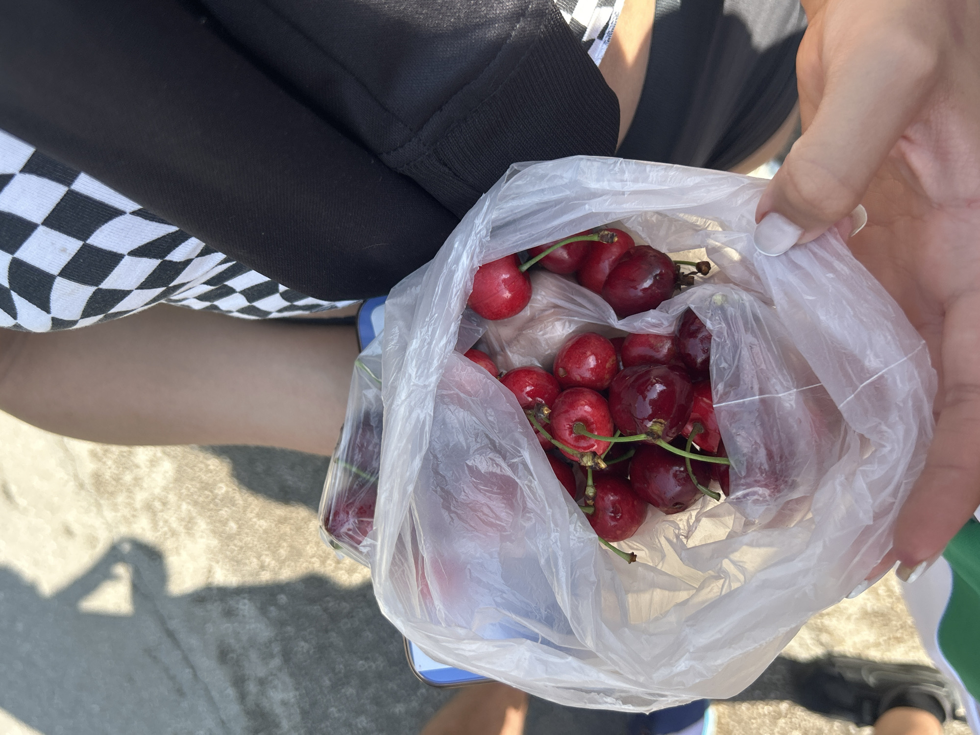A close-up, high-angle outdoor shot captures a clear, crinkled plastic bag filled with approximately two dozen fresh red cherries with green stems. The bag is held by an individual whose hand, displaying light-colored nail polish, grips the bottom right. The person holding the bag wears a black and white checkerboard patterned top partially covered by a black long-sleeved garment, visible on the upper right. A blue object, possibly a smartphone or container, is partially visible beneath the bag on the left. In the background, strong shadows of at least two individuals, one appearing to hold a phone to their ear, are cast upon a light-colored, textured concrete or paved ground. Another person's lower leg and foot, wearing a black shoe, are visible in the lower-left background, alongside a glimpse of a green and white garment. The scene takes place under bright sunlight in an undefined outdoor area within the city of Unknown, Unknown.