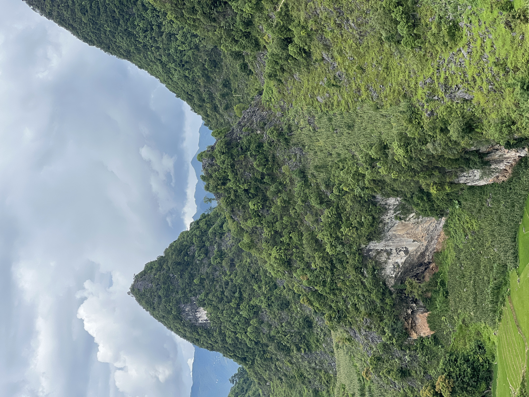The image shows a mountainous landscape in Dong Van Commune, Vietnam. Two prominent, tree-covered peaks dominate the foreground, with a dramatic, rocky cliff face visible between them. The slopes are densely forested with a variety of green trees and vegetation. In the lower left corner, terraced green rice paddies are visible, indicating agricultural activity. The sky above is overcast with dramatic clouds. The scene is a natural, unpopulated landscape.