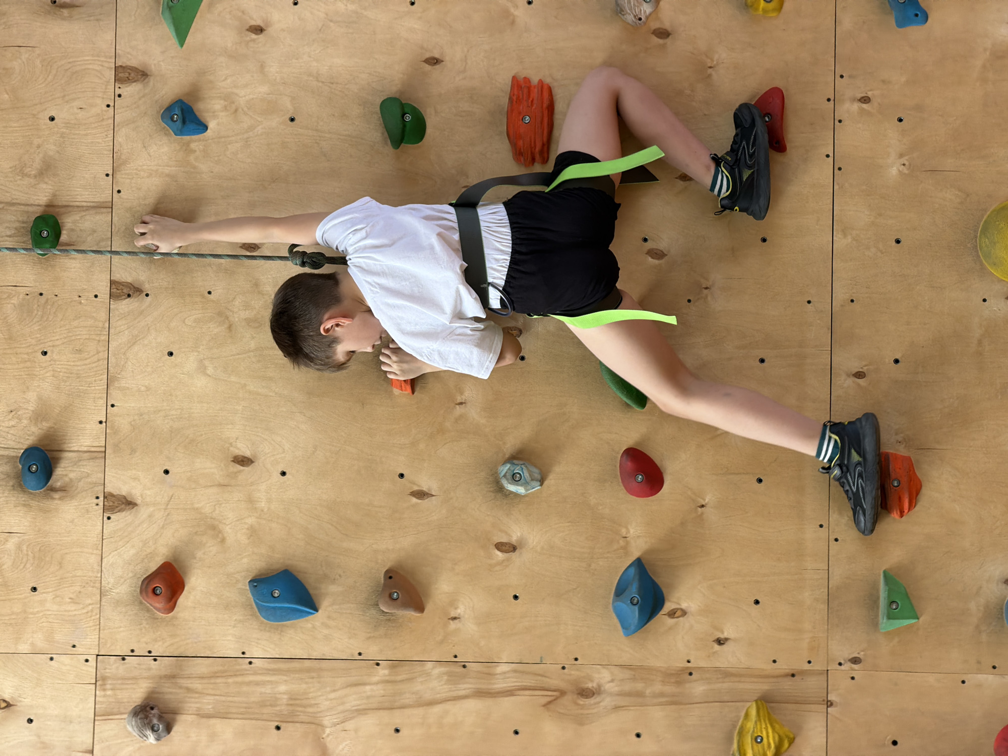 An overhead photograph captures a child actively engaged in indoor rock climbing on a wooden climbing wall. The child, appearing to be a boy, is dressed in a white t-shirt, black shorts, black athletic shoes with subtle yellow/green accents, and striped socks. He is secured by a climbing harness featuring prominent neon green leg straps and a dark gray waist belt, to which a thick climbing rope is attached with a knot near his left hand.
The child is positioned horizontally across the light-colored plywood wall, demonstrating an extended reach. His left hand is firmly gripping a green climbing hold, while the rope runs past it. His right hand is closer to his body, seemingly preparing for the next move or adjusting balance. His left foot is planted on a yellow hold situated lower on the wall, providing a stable base. His right leg is stretched upwards, with his right foot placed on a red climbing hold.
The climbing wall is constructed from multiple wooden panels, featuring various colorful holds in different shapes and sizes, including shades of green, blue, red, orange, yellow, and gray. These holds are distributed across the wall, indicating a designed climbing route. The bright, even illumination suggests an indoor climbing facility. The child's focused expression and stretched posture convey concentration and physical effort during the climb. The setting is an indoor climbing facility, consistent with its location in Izhevsk, Russia. There is no visible text in the image.