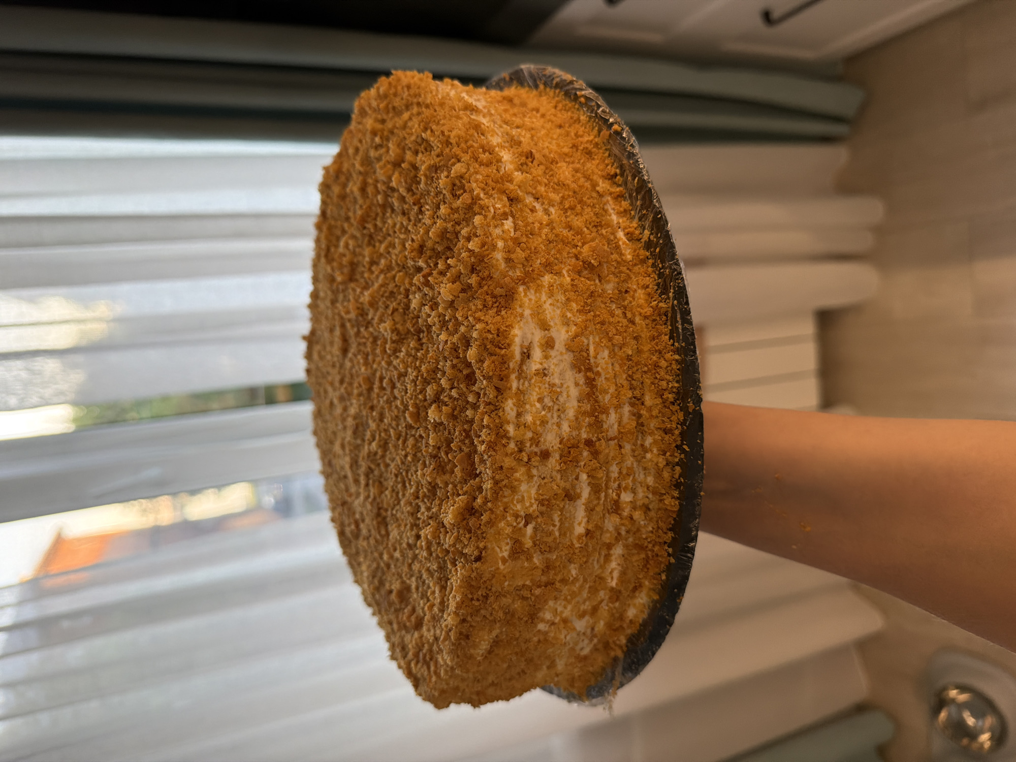 A round, multi-layered honey cake (Medovik), uniformly coated with golden-brown crumbs, is held by a human forearm and hand in an indoor setting in Votkinsk, Russia. The cake rests on a dark, circular board, partially covered in clear plastic film, supported from below by the unseen hand. The background features bright, diffused natural light entering from a window covered by white sheer curtains. Through the window on the left, an out-of-focus view of an exterior building with an orange hue and some greenery is discernible. On the right, a darker, possibly teal or green, curtain is partially visible alongside more white sheer curtains and indistinct architectural elements. The lower foreground shows a light-colored floor, possibly wood or laminate, with a metallic object on the far left.