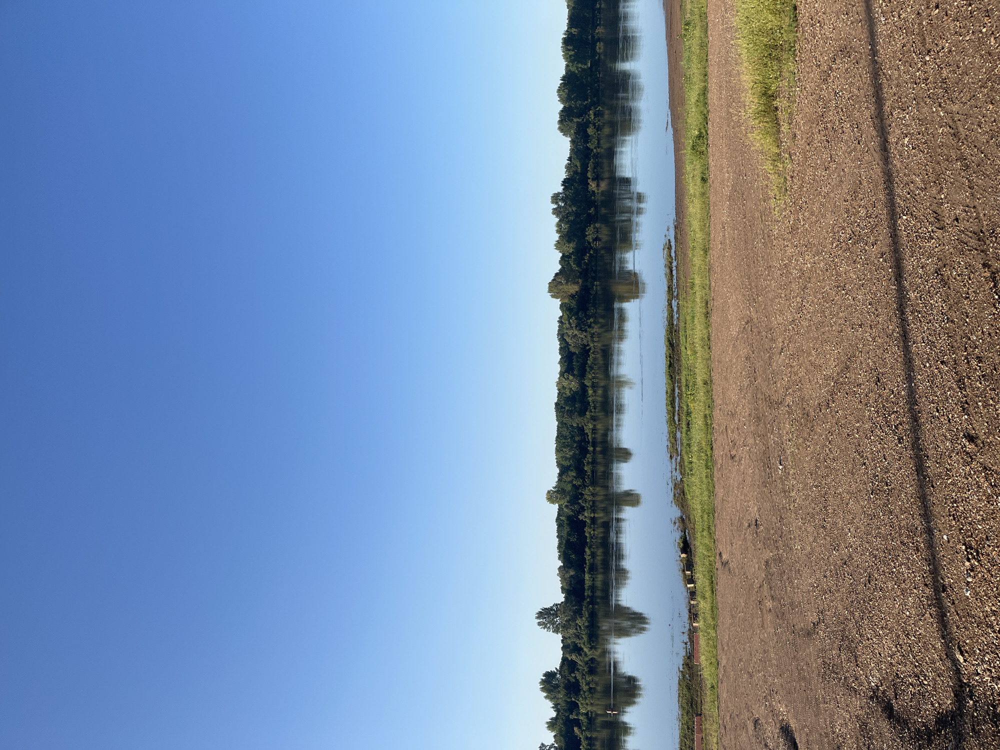 The image depicts a tranquil riverside scene under a clear blue sky. The foreground is a dirt path with scattered gravel and sparse green grass. Beyond the path lies a calm river, its surface reflecting the lush green treeline that stretches across the opposite bank. The treeline is dense with various trees, creating a solid wall of greenery. The reflections in the water are sharp, indicating a still day. The overall atmosphere is serene and natural. The location is identified as the embankment of the Amur River in Blagoveshchensk, Russia. No people or specific objects of interest are clearly visible in the main part of the scene, aside from the natural elements.