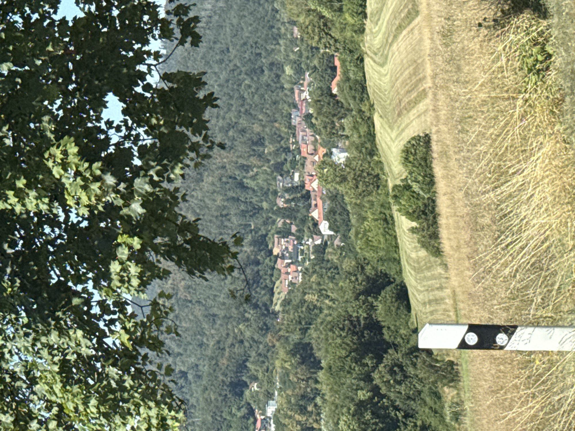 This image captures a scenic view of Bad Lauterberg im Harz, Germany. In the foreground, a tall, white post with black markings and circular reflective elements stands prominently in a dry, grassy field. Beyond the field, rolling hills are covered with lush green trees, and in the distance, a cluster of red-roofed houses forming a village can be seen nestled within the landscape. The sky above is a clear blue.