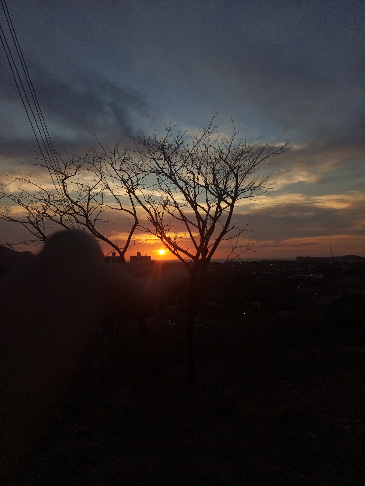 The image captures a dramatic sunset over Juan Griego, Venezuela, viewed from an elevated perspective. The sky is a prominent feature, displaying a striking gradient of deep blues and dark grays in the upper sections, transitioning to warm oranges, yellows, and muted reds closer to the horizon. Wispy clouds are illuminated by the sunlight, creating textured patterns.
A brilliant, fiery orange sun is positioned near the center-right of the frame, partially obscured by distant buildings on the horizon. Its intense glow casts a sunbeam effect downwards and outwards. In the immediate foreground, the silhouetted branches of several bare trees, devoid of leaves, frame the sun. Their intricate, dark forms stand in stark contrast against the vibrant sky.
To the far left, power lines or utility wires diagonally traverse the upper sky. A large, blurry, dark shape in the lower-left foreground appears to be the silhouette of a person's head and shoulder, possibly the photographer's, adding a human element to the scene.
Below the horizon, the silhouette of a sprawling city or town is visible, with various structures and distant lights hinting at urban activity. Beyond the city, a faint line suggests a body of water, consistent with a coastal location like Juan Griego. The ground in the very foreground is dark and undefined. The time of day is sunset, characterized by the low sun and warm light. No visible text is present.
