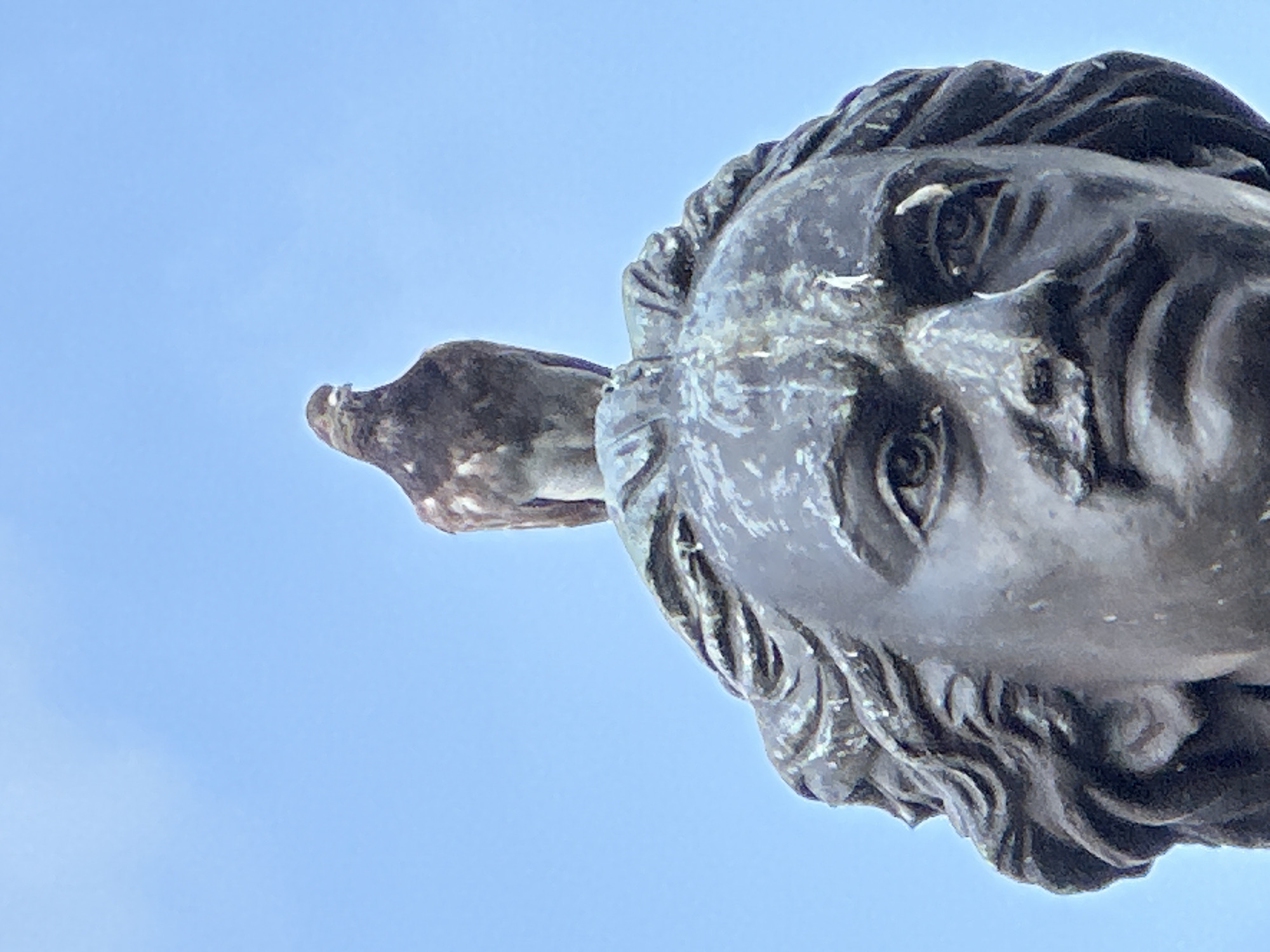 A pigeon stands on the head of a bronze statue in Sochi, Russia. The statue is a bust of a man with a mustache and wavy hair. The pigeon is facing to the left, and its feathers are a mix of brown and white. The background is a clear blue sky. The statue appears to be made of weathered bronze, with some green patina visible. The pigeon is perched directly on the top of the statue's head, between where the hair would be. The statue's face is detailed, with wrinkles around the eyes and a stern expression.
