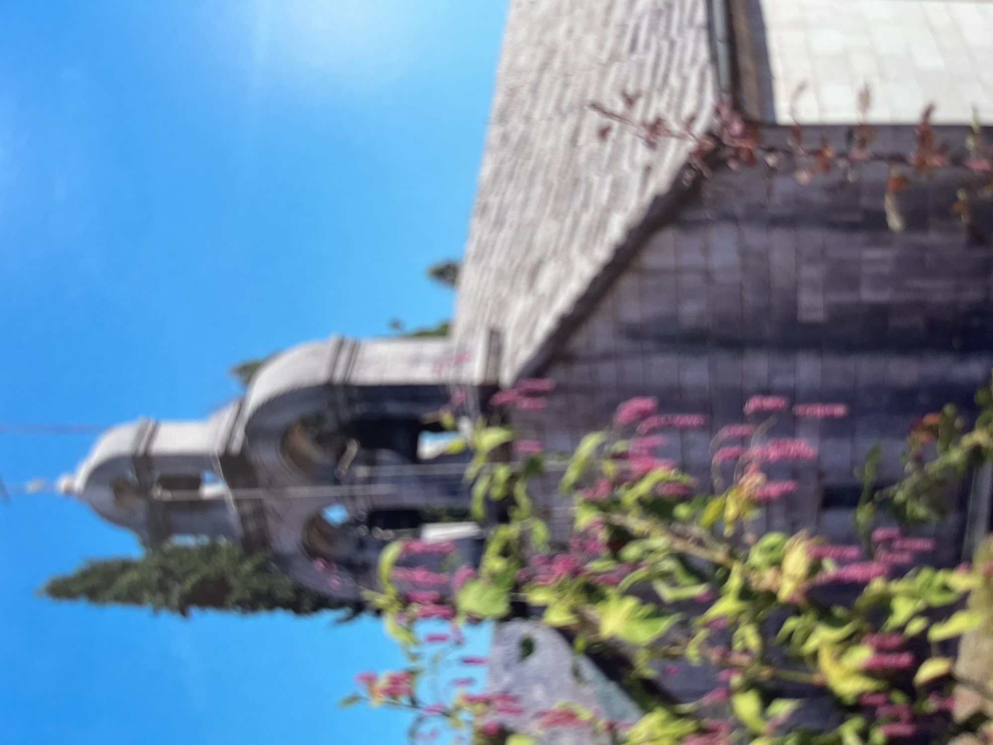An out-of-focus, vertical, full shot captures a stone church building with a bell tower and a gray, tiled roof under a bright blue sky. In the foreground, a blurred tree with green leaves and small, pink, hanging flowers partially obscures the view of the church. A tall, slender evergreen tree is visible behind the bell tower. The church has arched openings in its bell tower and appears to be constructed from rough, stone blocks. The overall impression is of a bright, sunny day in a location like Podgorica, Montenegro, known for its historical architecture and natural beauty.