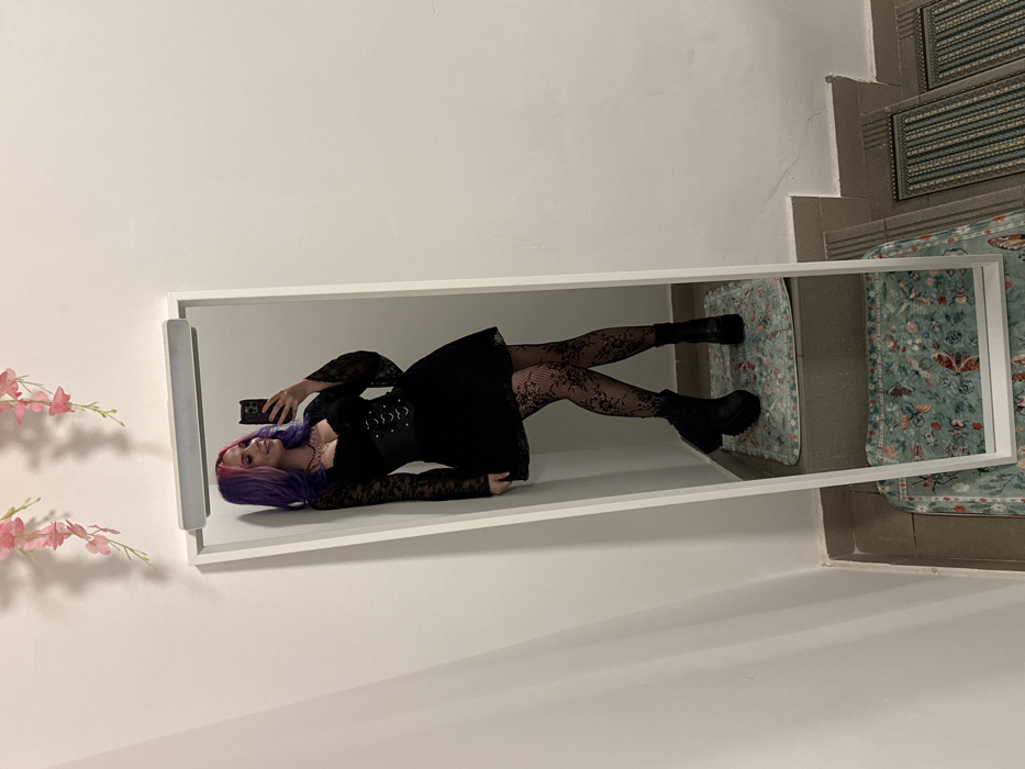 A female individual is captured in a full-length mirror selfie within an indoor setting, likely a hallway or entrance area in the City of Zagreb, Croatia. The subject has multi-colored purple and pink hair and wears a black long-sleeved dress with lace details, a black corset-style belt, black patterned lace stockings, and black platform boots. She holds a black smartphone in her right hand, angled to capture her reflection. The white-framed mirror leans against a white wall. Above the mirror, two artificial pink floral garlands are suspended. The floor visible in the mirror's reflection features a light blue/green rug with a pattern of birds and foliage. Outside the mirror, the tiled floor shows portions of two striped doormats and a light-colored staircase or elevated landing. A white linear light fixture is visible above the mirror frame.