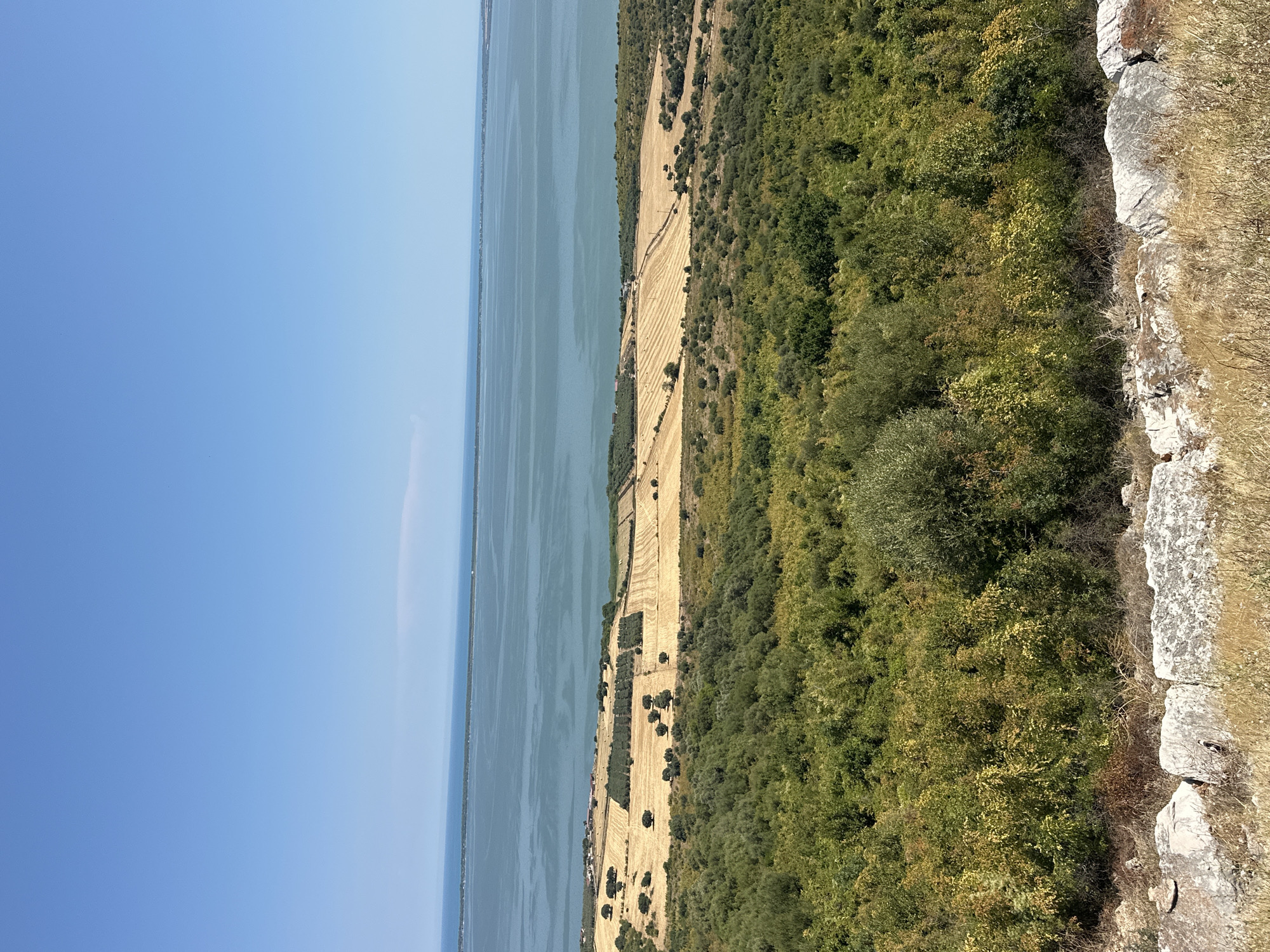 The image displays a panoramic view of a coastal landscape. In the foreground, dry grass and rough stone fragments are visible. The midground is dominated by lush green foliage, transitioning into fields of golden, harvested crops dotted with olive trees. Beyond the fields, a vast expanse of calm, blue water stretches towards the horizon, where a hazy line of land is barely discernible under a clear, bright blue sky. The scene appears to be an undeveloped natural area, possibly overlooking a lake or a bay. The absence of any identifiable landmarks or specific structures prevents a precise location within Cagnano Varano, Italy, from being determined from the image alone.