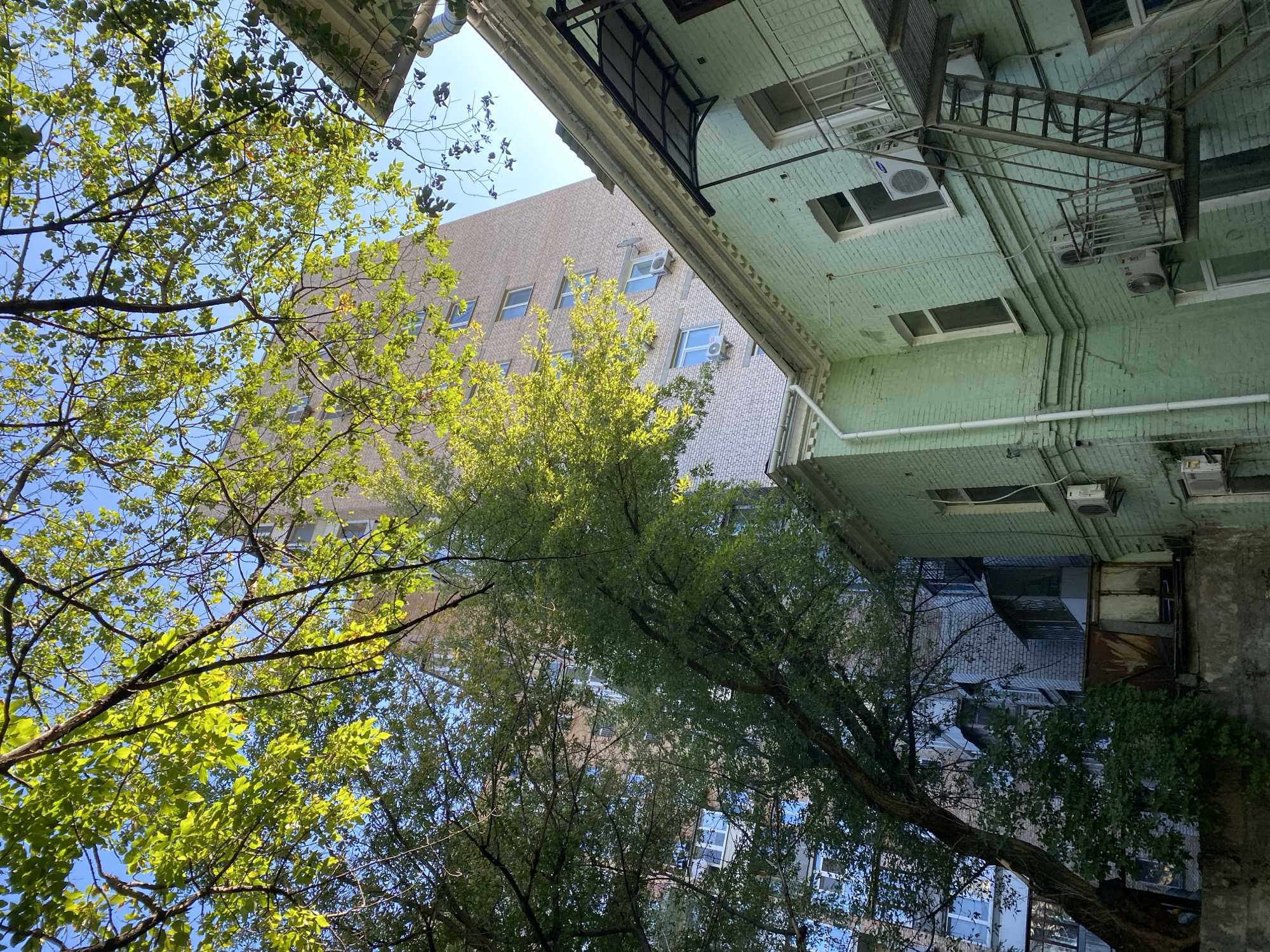 The image captures a view looking up into the sky, framed by trees with vibrant green leaves. In the background, a tall, light-colored brick building with multiple windows is visible, suggesting an urban environment. In the foreground, a lower, light green brick building is present, featuring a metal fire escape that extends upwards. Several air conditioning units are mounted on the exterior walls of both buildings. The scene appears to be an outdoor courtyard or alleyway between buildings, bathed in daylight. The location is described as Unknown, Unknown.