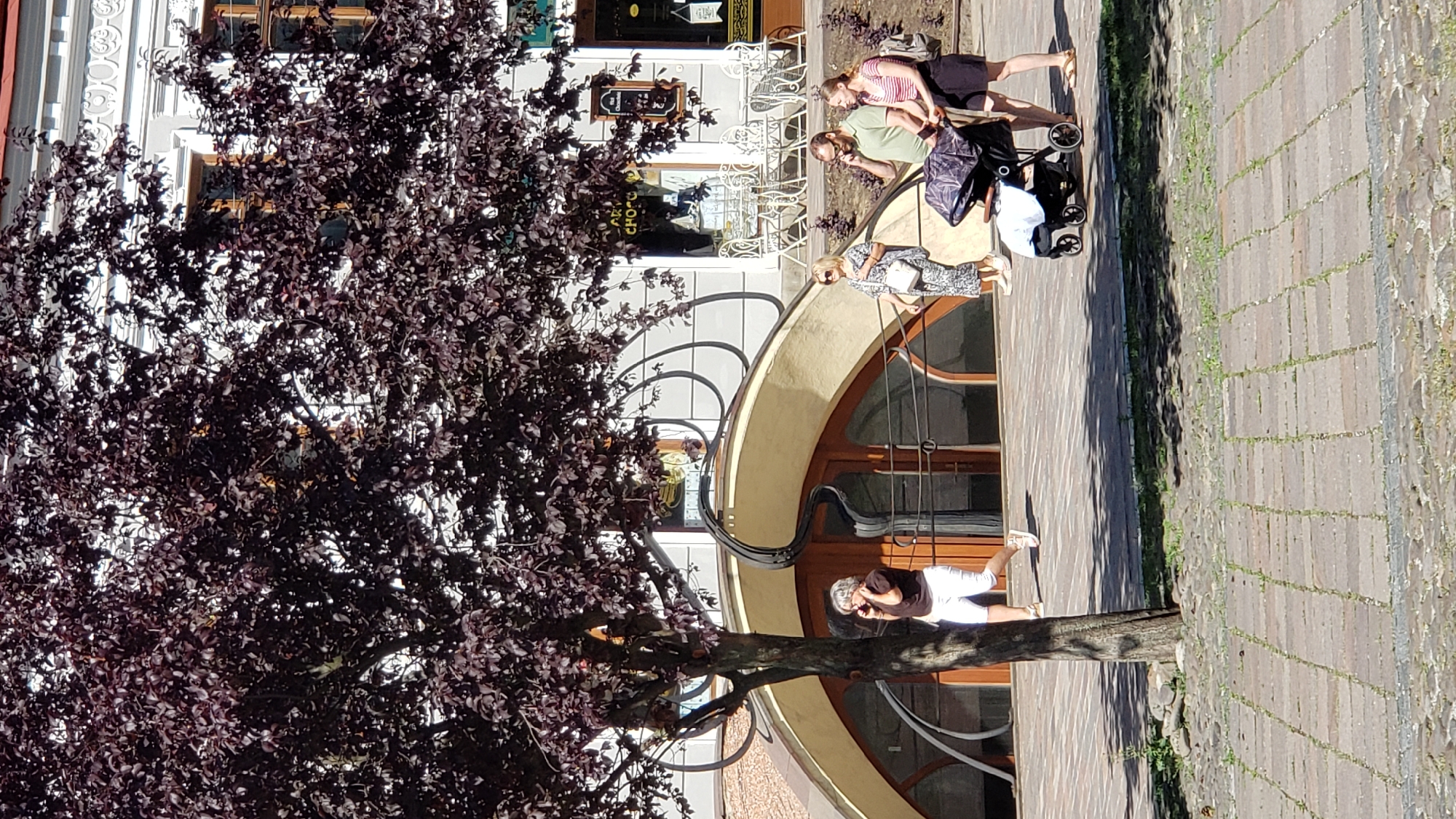 The image captures a daytime scene on a paved walkway in the city of Prešov, Slovakia. In the foreground, a tree with dark purple foliage casts shadows on the brick and cobblestone ground. To the right, a group of four people are walking. A woman in a patterned dress and white handbag is on the far left of the group. Next to her, a man in a green polo shirt and sunglasses is talking on his phone. To his right, a woman in a striped shirt and dark skirt pushes a stroller containing a child. Further to the right, another woman in a dark dress and sandals walks alongside them. Behind the people, there is a building with a distinctive curved entrance and arched windows, suggesting a commercial establishment, possibly a cafe or shop. The building's facade is white with decorative molding and brown-framed windows. The overall atmosphere is one of a casual stroll on a sunny day in an urban setting.
