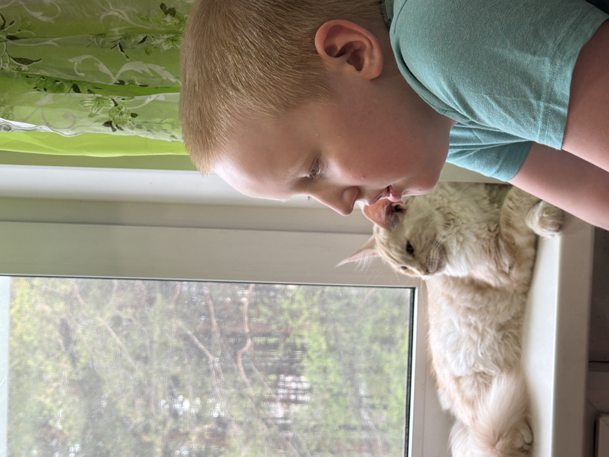 A fair-skinned young person with light blonde hair, wearing a light blue t-shirt, is looking down at a light-colored cat that is lying on a window ledge. The window has a screen and overlooks trees. A green and white patterned curtain is visible at the top of the frame. It is impossible to verify the location in the city of Chaikovsky, Russia from the image.