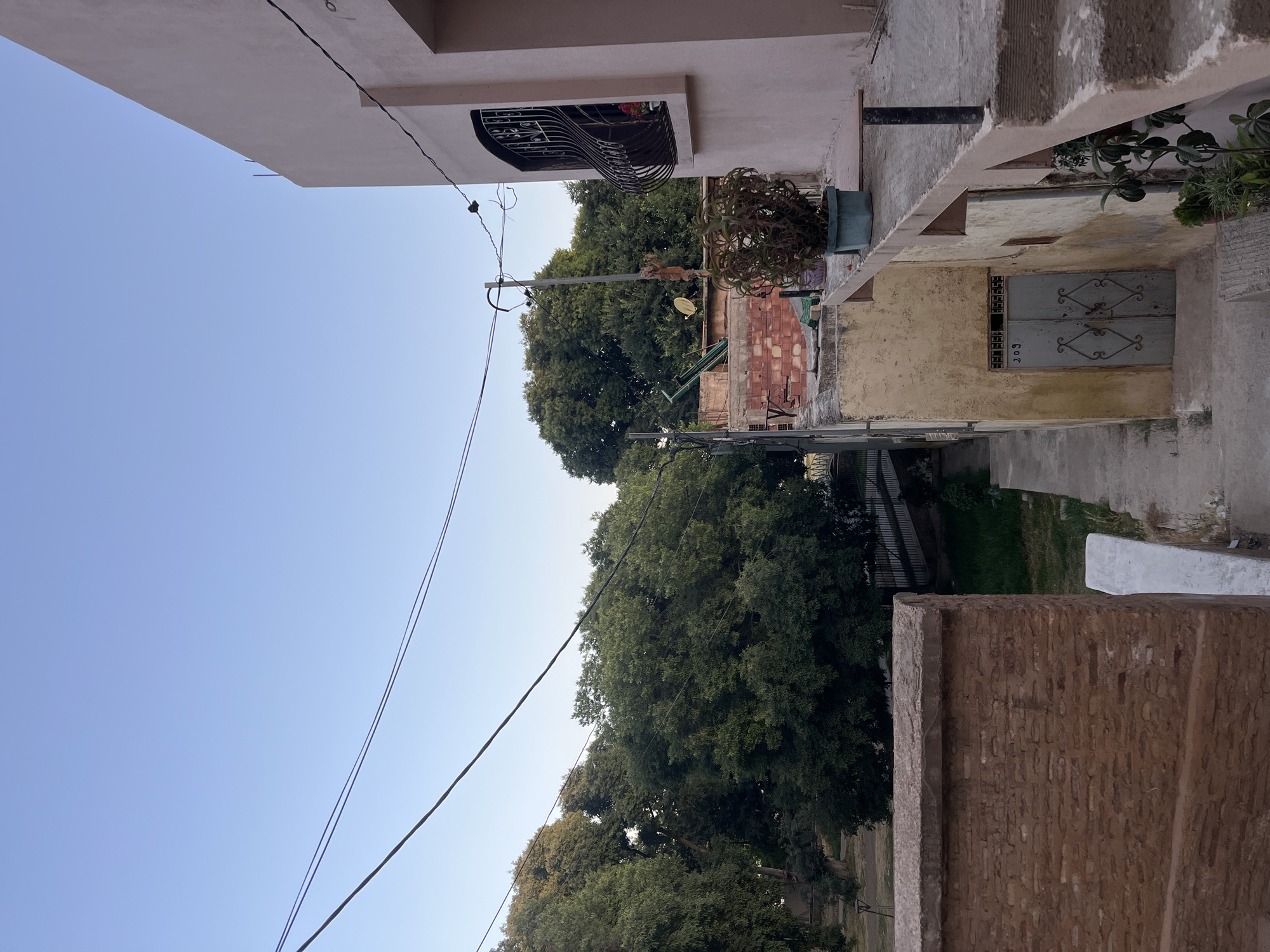 The image depicts a view looking down a narrow alleyway lined with buildings and vegetation in El Hajeb, Morocco. The sky is clear and blue. In the foreground, a textured reddish-brown brick wall is visible on the left. The alleyway itself is paved with concrete and slopes downwards. On the right side of the alley, a pale yellow building with a light pink upper story features a gray double door with decorative metalwork and the number "209" above it. A potted plant with dry leaves sits on a ledge of this building. Further up the alley, exposed brickwork and a satellite dish are visible. Beyond the buildings, lush green trees create a dense canopy, suggesting a park or garden area. Electrical wires stretch across the upper portion of the image. A metal-barred window with a curved top is visible on the pink building. The scene appears to be a residential or urban environment.