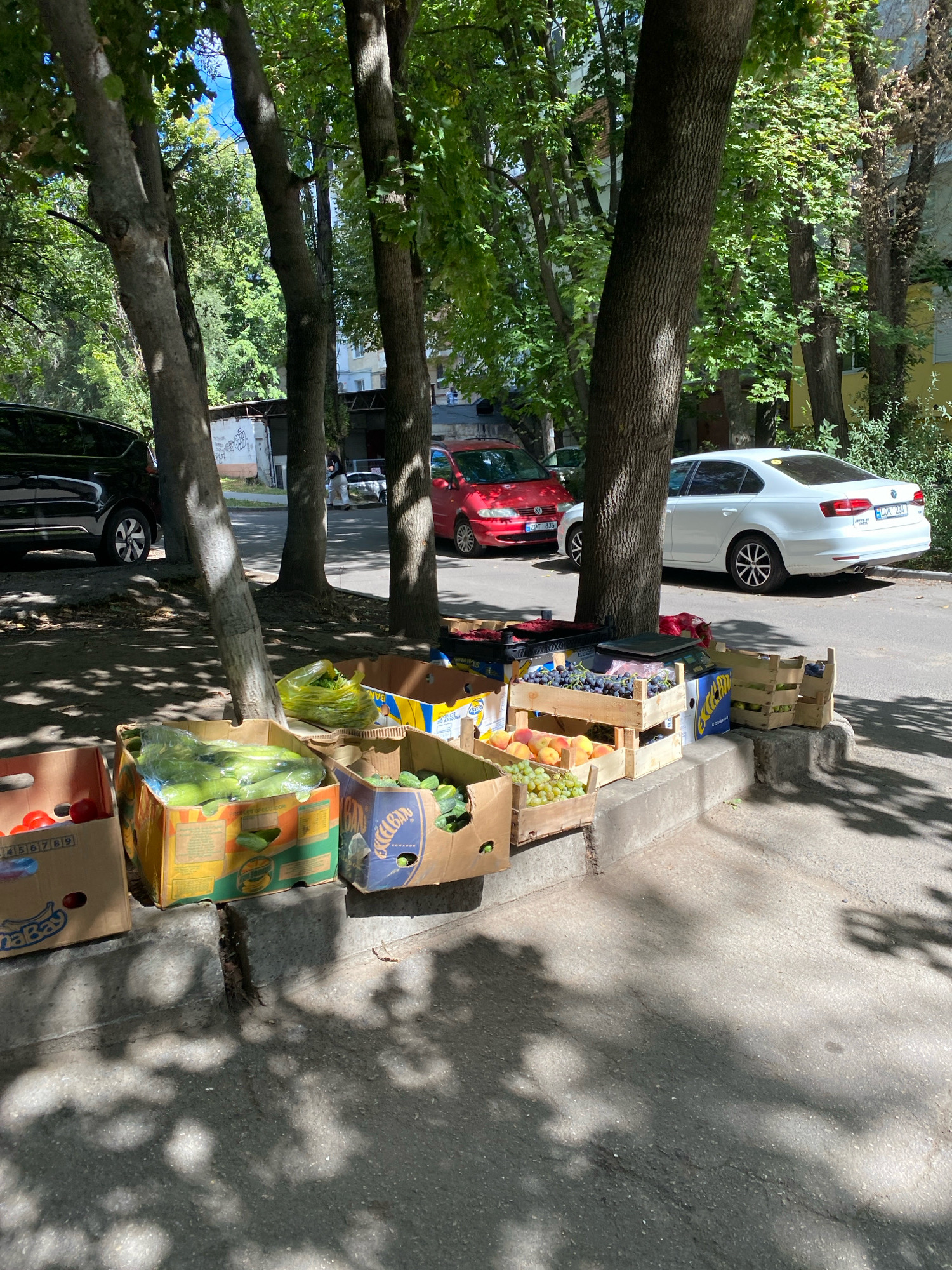On a sunny day in Chișinău, Moldova, an outdoor fruit and vegetable market is in full swing. Boxes of fresh produce are arranged along a concrete curb, including ripe tomatoes, cucumbers, bunches of green grapes, and peaches. A digital scale sits atop one of the wooden crates, ready to weigh the day's sales. In the background, cars are parked along the street, and mature trees cast dappled shadows on the pavement. A few individuals are visible in the distance, suggesting the ongoing bustle of the city. The scene depicts a typical urban marketplace, where local vendors offer their goods to passersby.