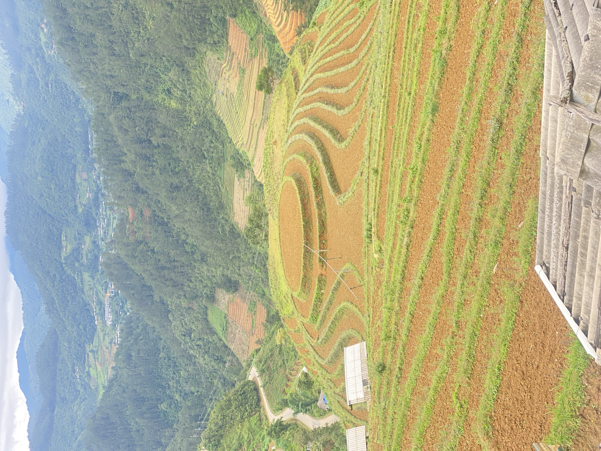 This image depicts a mountainous agricultural landscape in Dế Xu Phình, Vietnam, under an overcast sky. The foreground reveals a partial view of a weathered, grey corrugated roof with visible wooden beams, indicating an elevated vantage point.
The midground is dominated by extensive terraced fields cultivated into the steep slopes. These terraces primarily feature reddish-brown soil, interspersed with narrow strips of green vegetation, suggesting recent tilling or early crop growth. A prominent set of concentric circular terraces occupies the upper mid-right, while wavy, undulating terraces extend below and to its left. Numerous other terraces with varying shapes, from straight to curvilinear, cover the surrounding hillsides. Thin wooden poles are visible within some of the terraced sections, possibly for crop support.
A winding, paved road descends through a valley on the left side of the image. Along this road, two small structures with light-colored corrugated roofs and one building with a blue roof are observable.
The background consists of multiple layers of densely forested mountains, exhibiting varying shades of green due to atmospheric haze. In a distant valley, nestled among the forested hills, several smaller structures and one larger, multi-story building with a light-colored roof are discernible, indicating a small settlement. No individuals or animals are visible within the frame.