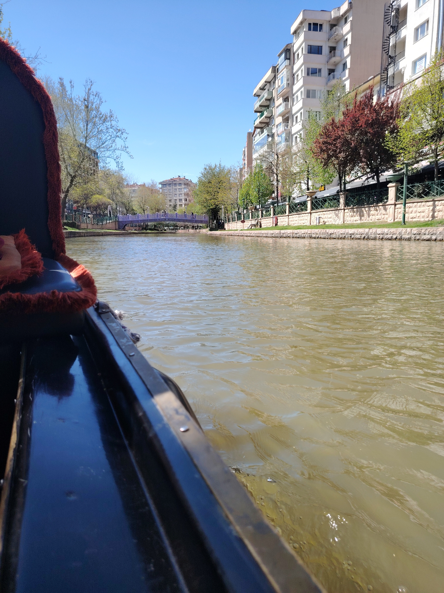 This image captures a bright, sunny daytime scene from the perspective of a boat navigating a river or canal in an urban setting. The viewpoint suggests a leisurely ride, with the dark side of the boat and a plush, reddish-brown upholstered edge prominent in the left foreground, indicating the observer is seated within.
The water of the river is a murky greenish-brown, showing gentle ripples and reflections of light on its surface. Along the right bank, a neatly constructed stone wall with decorative pillars and a green metal fence lines the waterway. Behind this, a vibrant array of trees, some with fresh green leaves and one particularly striking tree with deep red foliage, adds natural beauty to the urban landscape. Towering behind the trees are modern, multi-story residential or commercial buildings, characterized by their light-colored facades and numerous balconies.
In the mid-distance, a light-colored, possibly purple, arched bridge gracefully spans the river, with small figures of people visible crossing it. Further buildings and trees can be seen beyond the bridge, extending into the background under a clear, brilliant blue sky. The overall atmosphere is peaceful and pleasant, suggesting a relaxed outing. The clear sky and bright light indicate it is likely mid-morning or afternoon. This scene is characteristic of the Porsuk River in Eskisehir, Turkey, known for its scenic boat tours. No discernible text is visible within the image.