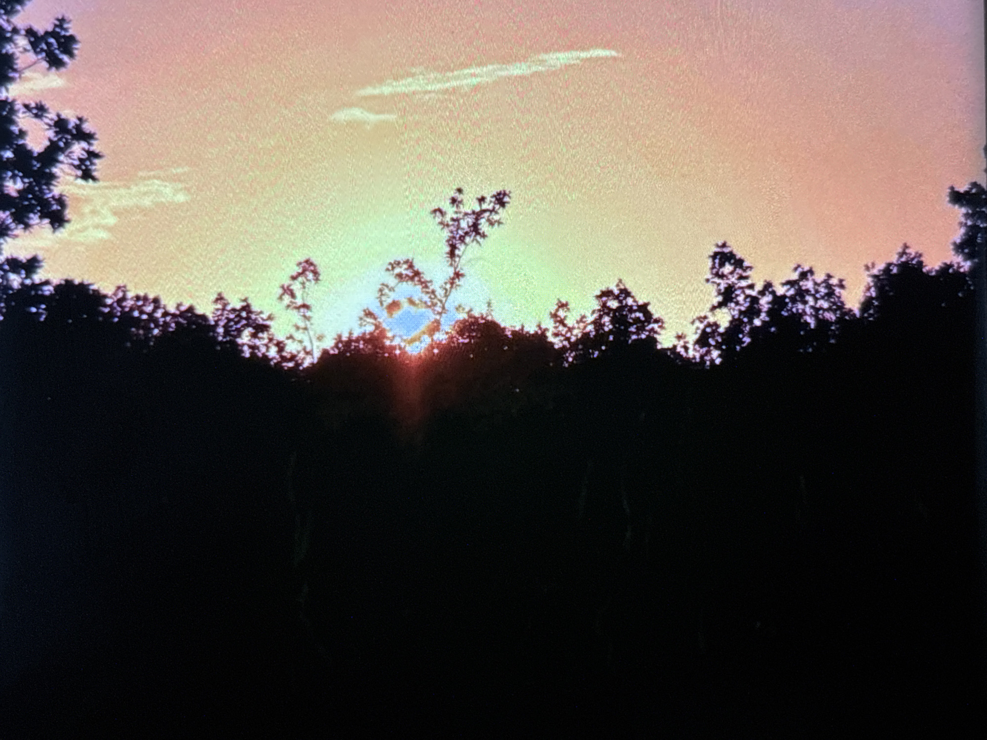 This media file captures a serene outdoor scene at either sunrise or sunset over a treeline in Wolverhampton, United Kingdom. The image is dominated by a vibrant sky, transitioning from bright yellow and orange at the horizon to softer pink and peach tones higher up.
The main subjects are the numerous trees, which appear as dense, dark silhouettes against the luminous sky. Individual branches and leaves are visible against the light, particularly in the upper portions of the treeline. A bright sun is positioned low and centrally behind the trees, casting strong rays of light upwards and outwards, creating a glowing effect where it peeks through the foliage. A few faint, wispy clouds are visible in the upper sky, including one elongated streak.
No specific activity or event beyond the natural progression of daybreak or dusk is depicted. There are no people or objects other than the natural landscape elements. The overall mood conveyed is one of calm and natural beauty. No visible text is present in the image.
