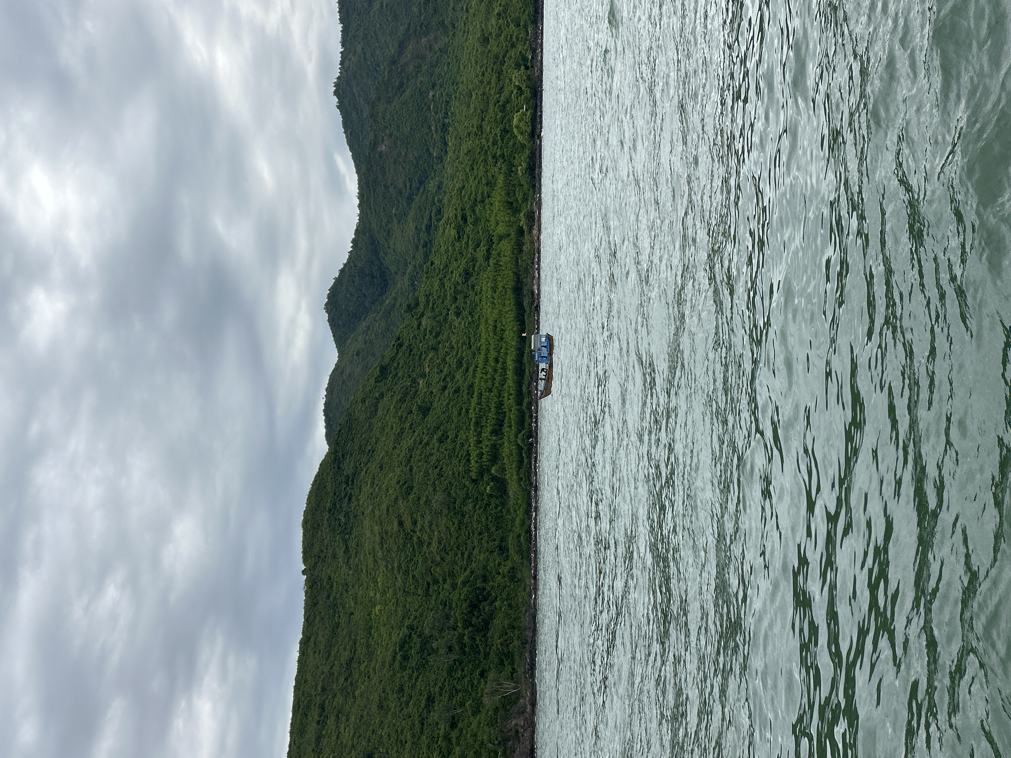 The image shows a serene seascape with a verdant, rolling mountain range in the background. The mountains are densely covered with lush green trees, creating a textured and slightly rugged silhouette against the overcast sky. A small, blue fishing boat with a few occupants is visible in the middle distance, navigating the calm, greenish-gray water. The water's surface is slightly rippled, reflecting the muted light of the cloudy day. The shoreline between the water and the mountains appears rocky, with a line of darker vegetation or possibly a breakwater. The scene evokes a sense of tranquility and natural beauty, likely captured during a boat trip off the coast of Nha Trang, Vietnam.