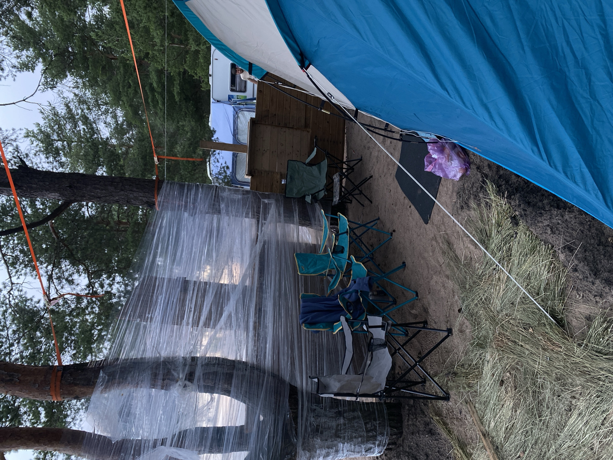 The image depicts an outdoor campsite in Primorsk, Russia, characterized by a forested environment with pine trees. The scene features several camping chairs, two of which are teal and two are dark green and grey, positioned on sandy ground. A blue and white tent is prominent in the foreground, with its entrance facing away from the viewer. To the left, two large pine trees are wrapped in clear plastic sheeting, secured with orange straps. In the background, a person stands near a camper van and another tent, suggesting a communal camping area. The ground is a mix of sand and dry grass, with pinecones scattered around. The overall impression is that of a rustic, functional campsite.