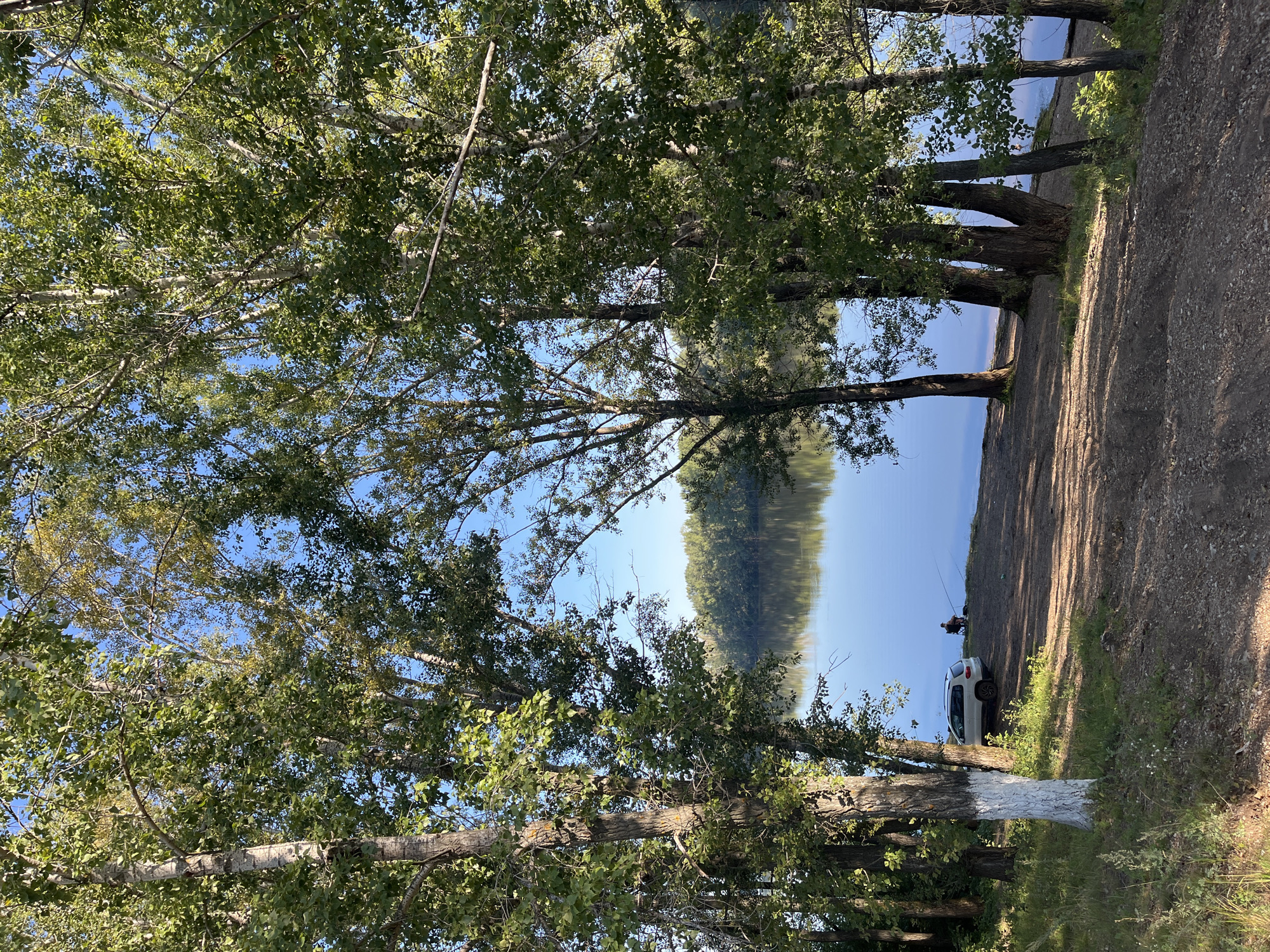 The image depicts a serene riverside scene, likely located in Blagoveshchensk, Russia, characterized by a tranquil body of water reflecting the clear blue sky and the lush green trees lining its banks. A dirt path leads down to the water's edge, where a white SUV is parked. A lone individual is seated on the shore, engaged in fishing with a rod. The foreground is dominated by tall trees with dappled sunlight filtering through their leaves, creating a natural frame for the picturesque view of the river and the distant treeline. The overall ambiance is one of peaceful outdoor recreation.