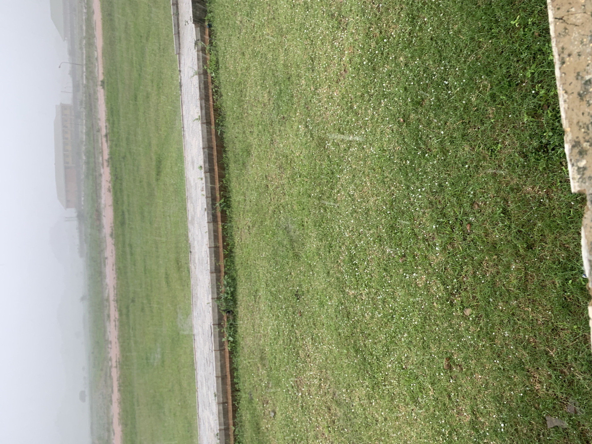 The image depicts an outdoor scene in Farin Yashe, Nigeria, characterized by a hazy atmosphere, likely due to rain or mist. In the foreground, a manicured green lawn is visible, dotted with numerous small, white spherical objects that appear to be hailstones. A paved pathway, bordered by a wooden retaining wall, runs horizontally across the mid-ground, separating the lawn from a red, muddy field beyond. In the distance, several buildings with muted colors are faintly discernible through the haze, along with a lamppost. The overall impression is of a quiet, overcast day with evidence of recent or ongoing hailstorm activity.