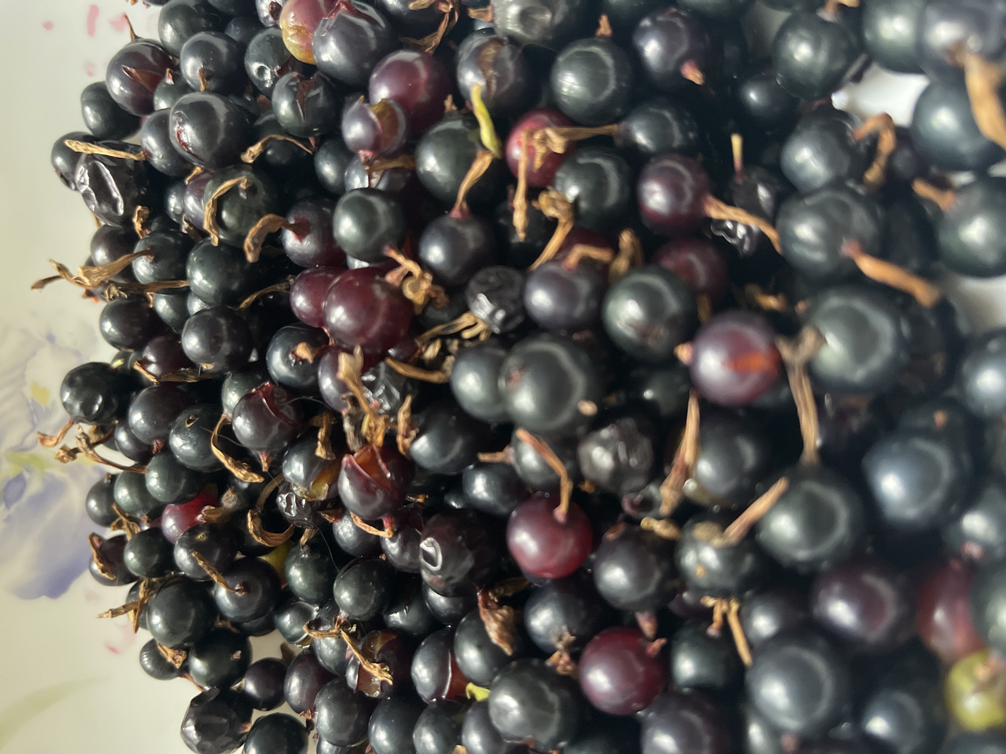 This is a close-up, overhead, photographic image of a bowl filled with ripe blackcurrants. The berries are small, round, and dark in color, with some exhibiting a purplish hue. Stems and some dried remnants of the fruit's flowers are visible, attached to many of the berries. The background is out of focus, showing hints of a floral pattern on what appears to be the inside of the bowl. There are no people, actions, or interactions depicted. The image does not contain any contextual information that would place it within the city of Shymkent, Kazakhstan.