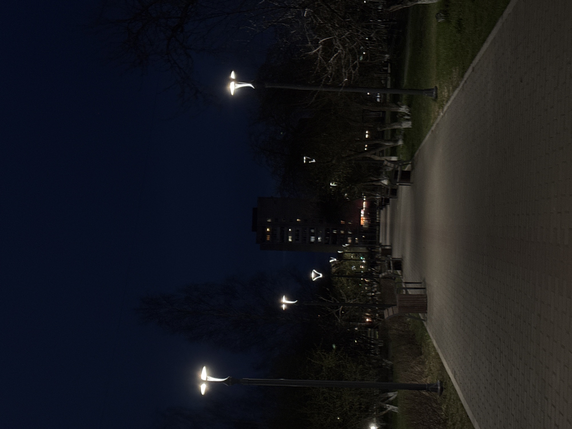 A vertically oriented image captures a serene night scene, likely in a park or pedestrian area in Chaikovsky, Russia. A broad, paved pathway, composed of light-colored interlocking pavers, runs diagonally across the right side of the frame, disappearing into the distance. It is bordered on its left by a strip of dark grass and bare-branched trees. Tall, dark streetlights with distinctive, brightly glowing white fixtures, shaped somewhat like butterfly wings, are spaced along the path, casting illumination. In the mid-ground, a multi-story building with several glowing windows is visible through the trees, hinting at an urban or suburban environment. Dark park benches are sparsely placed along the pathway. The sky occupies the upper left portion of the image, a deep, dark blue, confirming the late evening or night-time setting. The scene is empty of people, suggesting a quiet, calm moment. No specific activity or event is taking place. No discernible text is visible within the image.