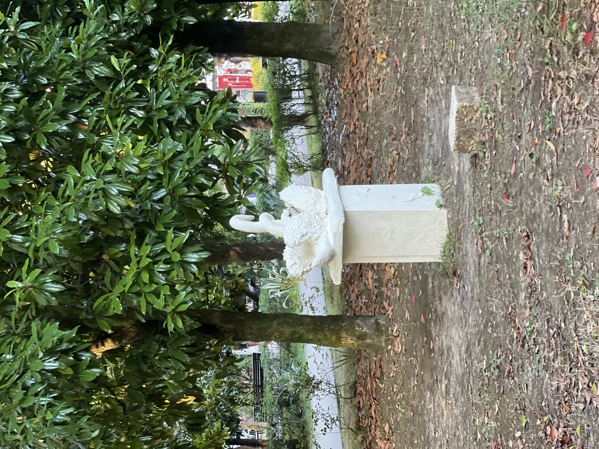 The image depicts a white swan sculpture positioned on a pedestal in a park-like setting. The sculpture is made of a textured material, possibly concrete or plaster, and is a prominent focal point in the foreground. It features two intertwined swan necks forming the upper part of the sculpture, with a ruffled base. The pedestal is also white and square-topped.
The environment surrounding the sculpture consists of a ground covered with fallen leaves in varying shades of brown and red, indicating an autumn season. Patches of green grass and small plants are interspersed among the leaves. Several trees with lush green foliage are visible behind the sculpture, casting shadows on the ground. The trees appear to be magnolias due to their large, glossy leaves.
In the background, a paved pathway can be seen winding through the park. Beyond the pathway, there are indications of more park infrastructure, including benches, more trees, and some buildings with red accents. The overall impression is that of a serene outdoor public space. The location is identified as the city of New Athos, Abkhazia.