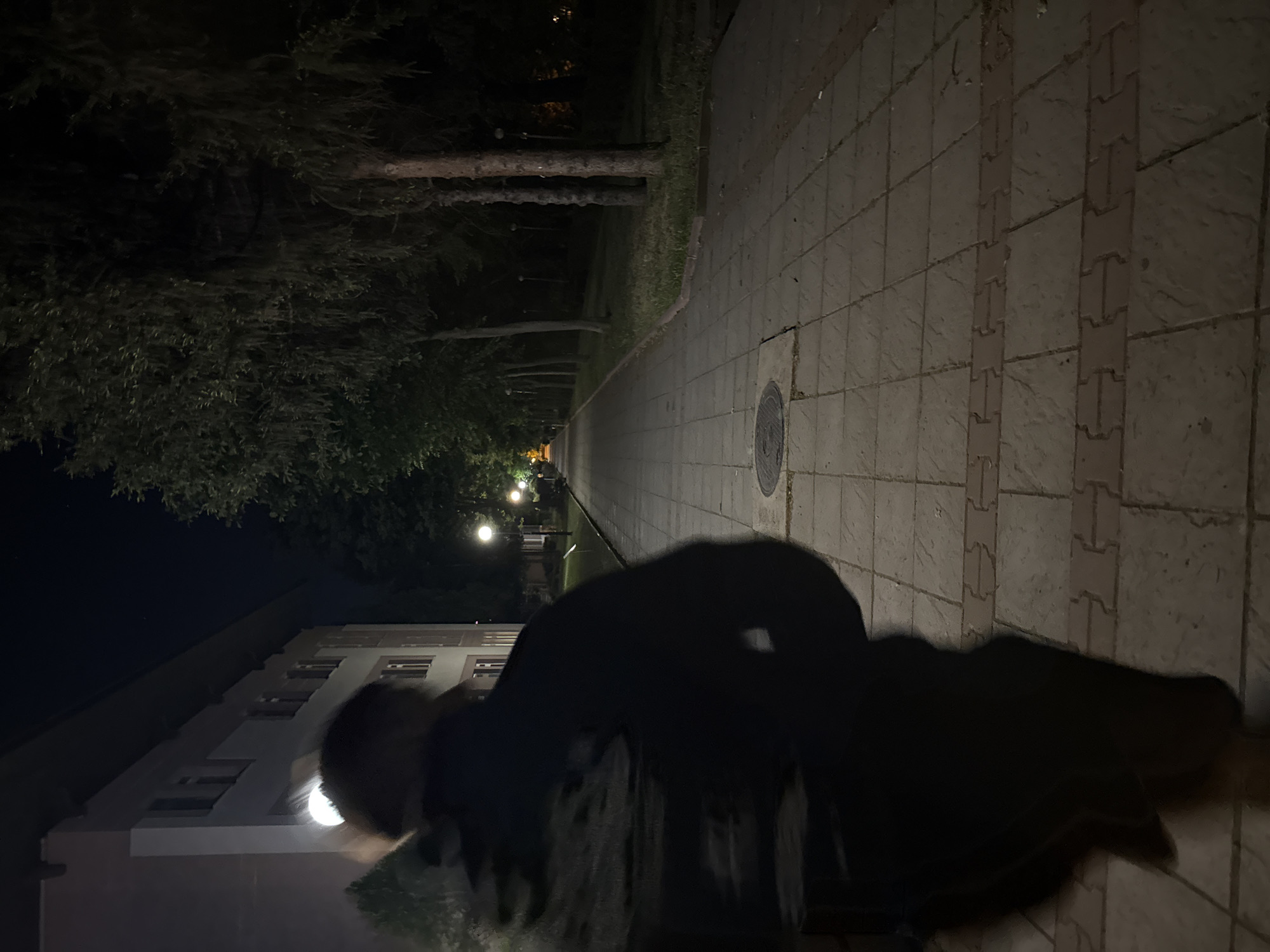 A low-angle, long-exposure nighttime photograph shows a person partially obscured in the foreground of an outdoor setting. The location is likely a paved walkway, possibly made of interlocking concrete pavers. In the background, streetlights illuminate a path lined with trees. A building is seen to the left of the frame. The location could be in Blagoevgrad, Bulgaria, based on the visual cues of the architecture and environment. Due to the blur caused by the long exposure, the person's actions are unclear.