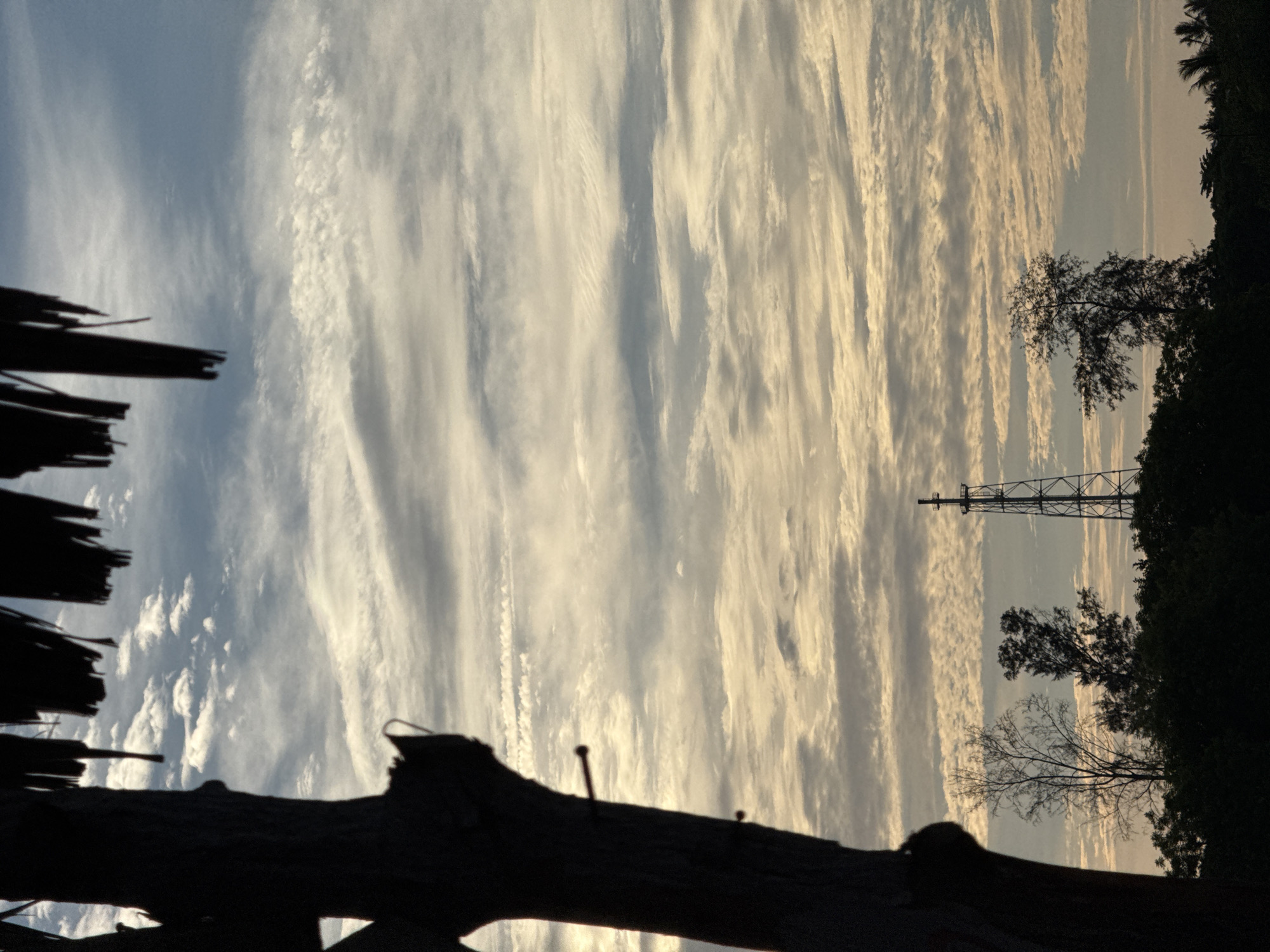 A silhouette of a tall wooden post, possibly part of a dilapidated structure, dominates the left side of the frame. Several nails are visible protruding from the post. Above and to the right, the fronds of a thatched roof hang down, creating a dark, irregular border. The background is a dramatic sky filled with layered clouds, some wispy and streaky, others more puffy, illuminated by a warm, hazy light, suggesting either sunrise or sunset. In the middle distance, silhouetted against the sky, is a tall, latticed metal tower, possibly a telecommunications mast. Below the tower and stretching across the lower half of the image is a dark silhouette of a dense tree line, with a few sparse, leafless trees visible in front of it. The scene evokes a sense of a remote or overgrown location, with the tower standing as a modern intrusion in an otherwise natural or rustic setting. This scene appears to be captured in the vicinity of Lhokseumawe, Indonesia, potentially near coastal or agricultural areas where such towers are common for communication or industrial purposes.