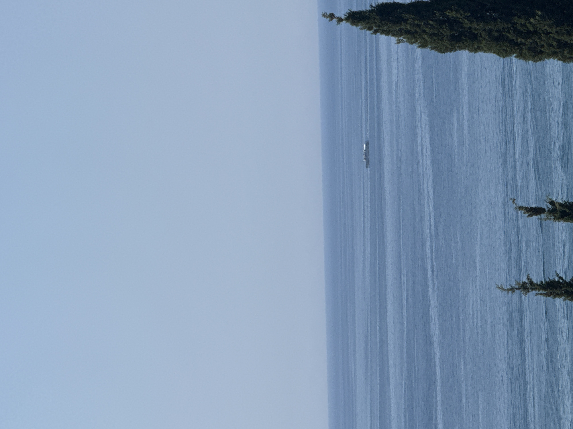 This is a vertical, outdoor, eye-level photograph of the sea. The image is dominated by the vast expanse of the blue sea, which occupies the right two-thirds of the frame. The sea is characterized by numerous, faint, vertical lines that suggest a rippling or choppy surface. In the distance, a narrow, dark object, likely a boat or a small ship, is visible on the water.
The left third of the image is a pale blue sky, creating a stark contrast with the sea. The horizon line where the sky meets the sea is soft and indistinct, possibly due to atmospheric haze or the angle of the photograph.
Along the top and right edges of the image, the dark green foliage of trees, likely conifers, is visible. These trees partially frame the sea and sky. A small, detached branch of a similar tree with needles is also visible in the lower right corner.
The lighting suggests it is daytime, likely mid-morning or afternoon, with the sun high enough to cast a soft light on the scene. The weather appears calm, with the gentle ripples on the water indicating a light breeze. The scene evokes a sense of tranquility and the vastness of nature. There is no visible text in the image. The location context is Boreti, Montenegro.