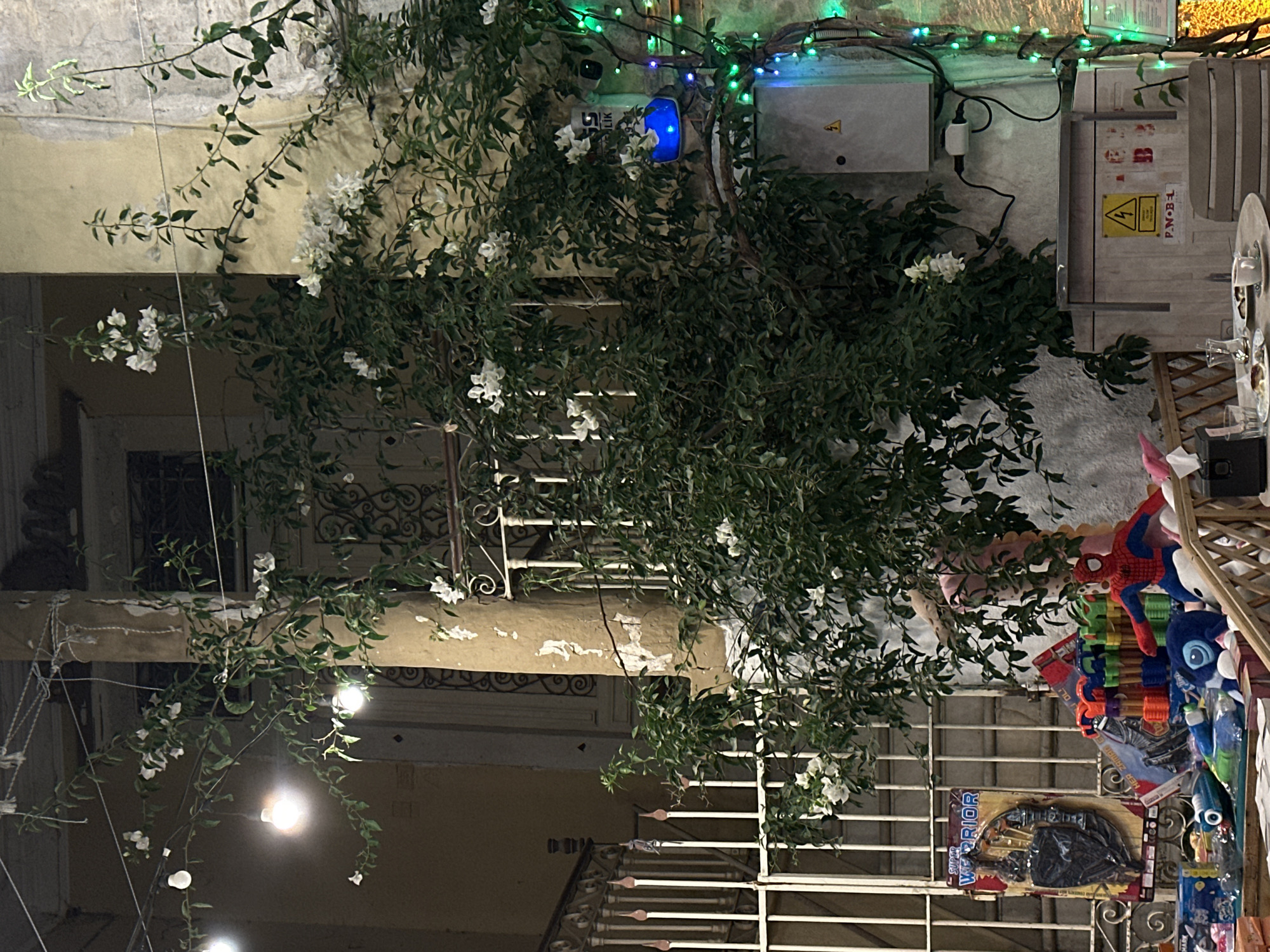 The image captures a nighttime scene outdoors in Urla, Turkey, near a cafe. A flowering vine with white blossoms climbs up a stucco wall adorned with peeling paint. String lights, some white and some colored green and blue, are draped around the scene, illuminating the foliage and creating a festive atmosphere.
In the foreground, a table is set with plates of food, cups, and glasses, suggesting a recently occupied seating area. To the left of the table, a display of children's toys is visible. This includes a "Super Warrior" toy, a plush Spiderman figure, and various other colorful toys, some in packaging. A metal fence separates this display from the seating area.
On the wall behind the vine, there is an electrical box with warning labels and connected wiring, along with a blue light fixture. The overall impression is a lively, possibly tourist-oriented area, with a blend of natural elements and commercial offerings.
